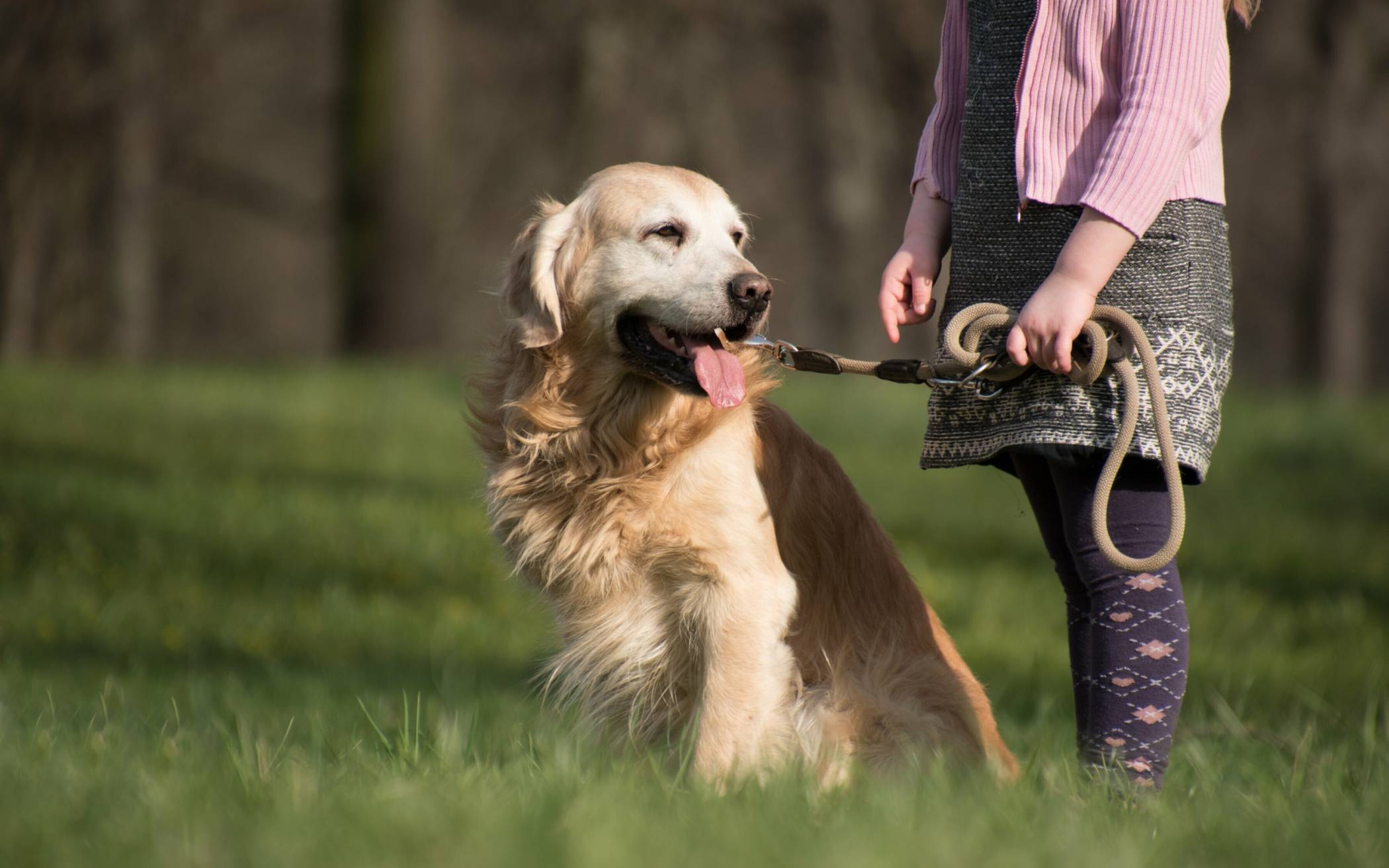 VITA startet in Gartensaison
