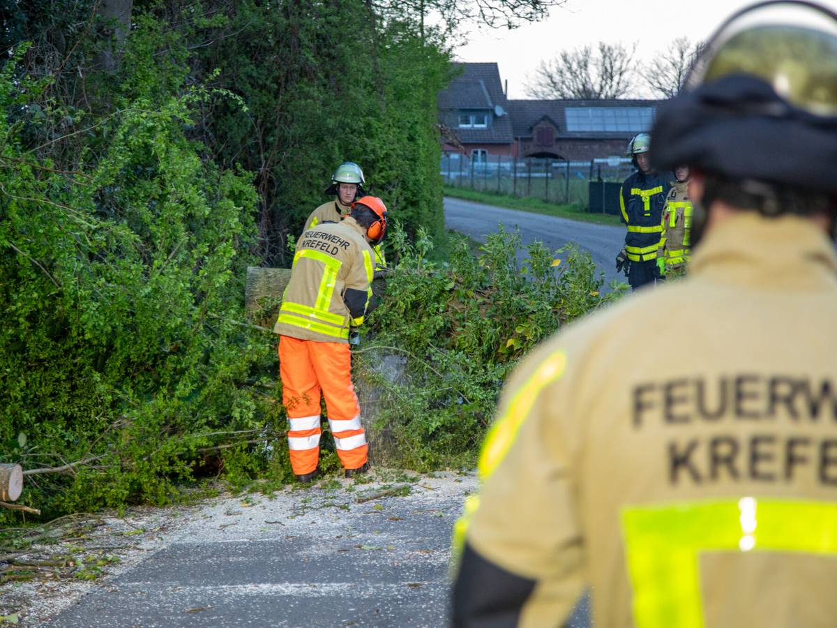 Ganz schön stürmisch
