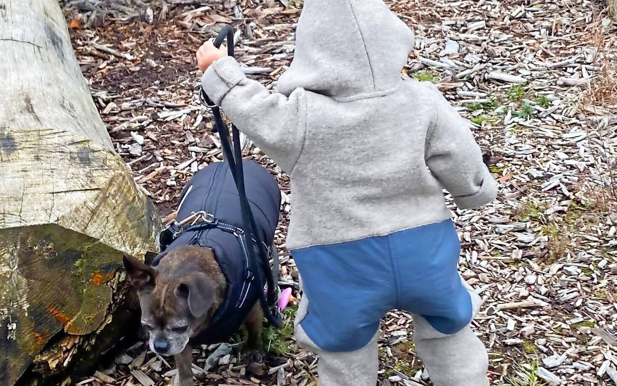  Wenn ein Baby in eine Familie mit Hund kommt, müssen einige Fragen geklärt werden. Im Rahmen der Gesundheitswoche bietet pro familia eine Infoveranstaltung dazu an. 