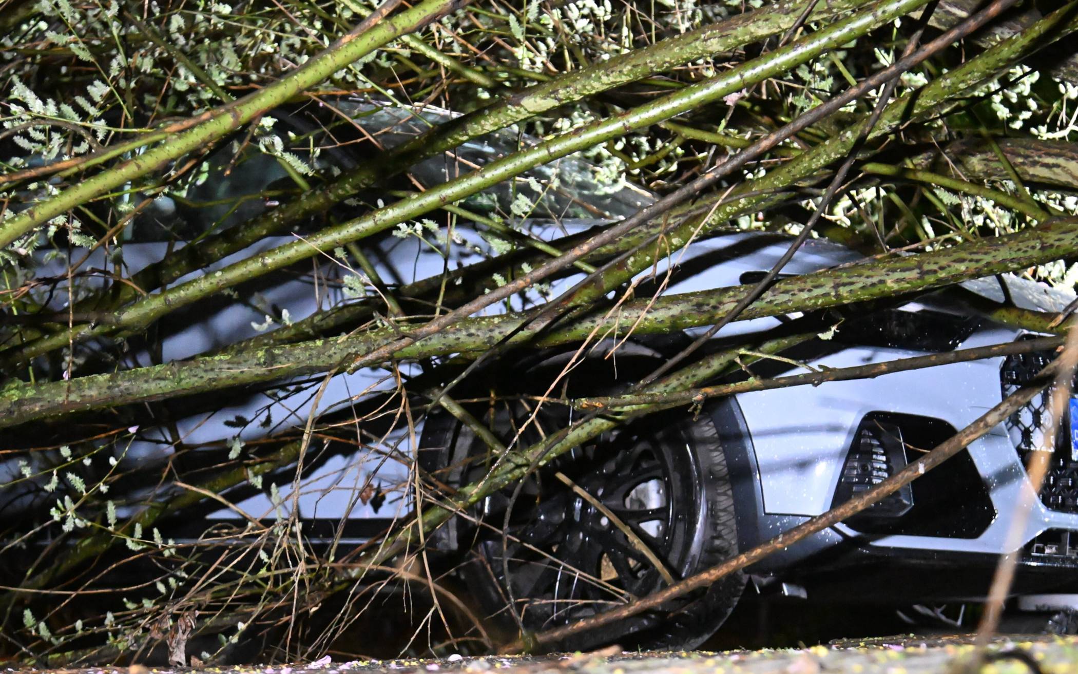 Baum begräbt geparktes Fahrzeug