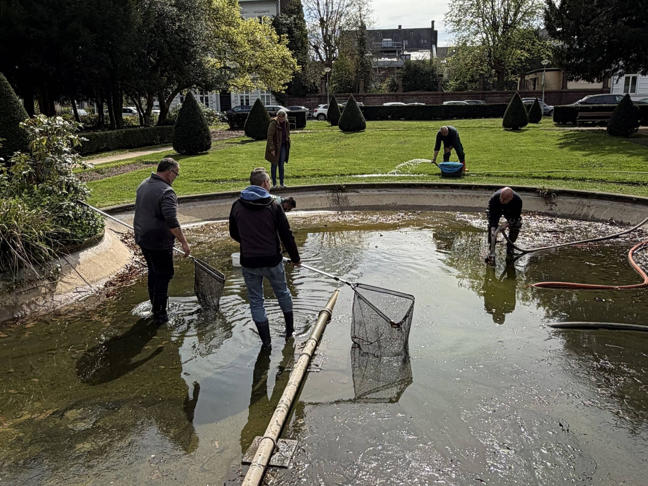 Momentaufnahme während des Abfischens mit Mitgliedern des Angelsportvereines und Mitarbeitern der Städtischen Betriebe. 