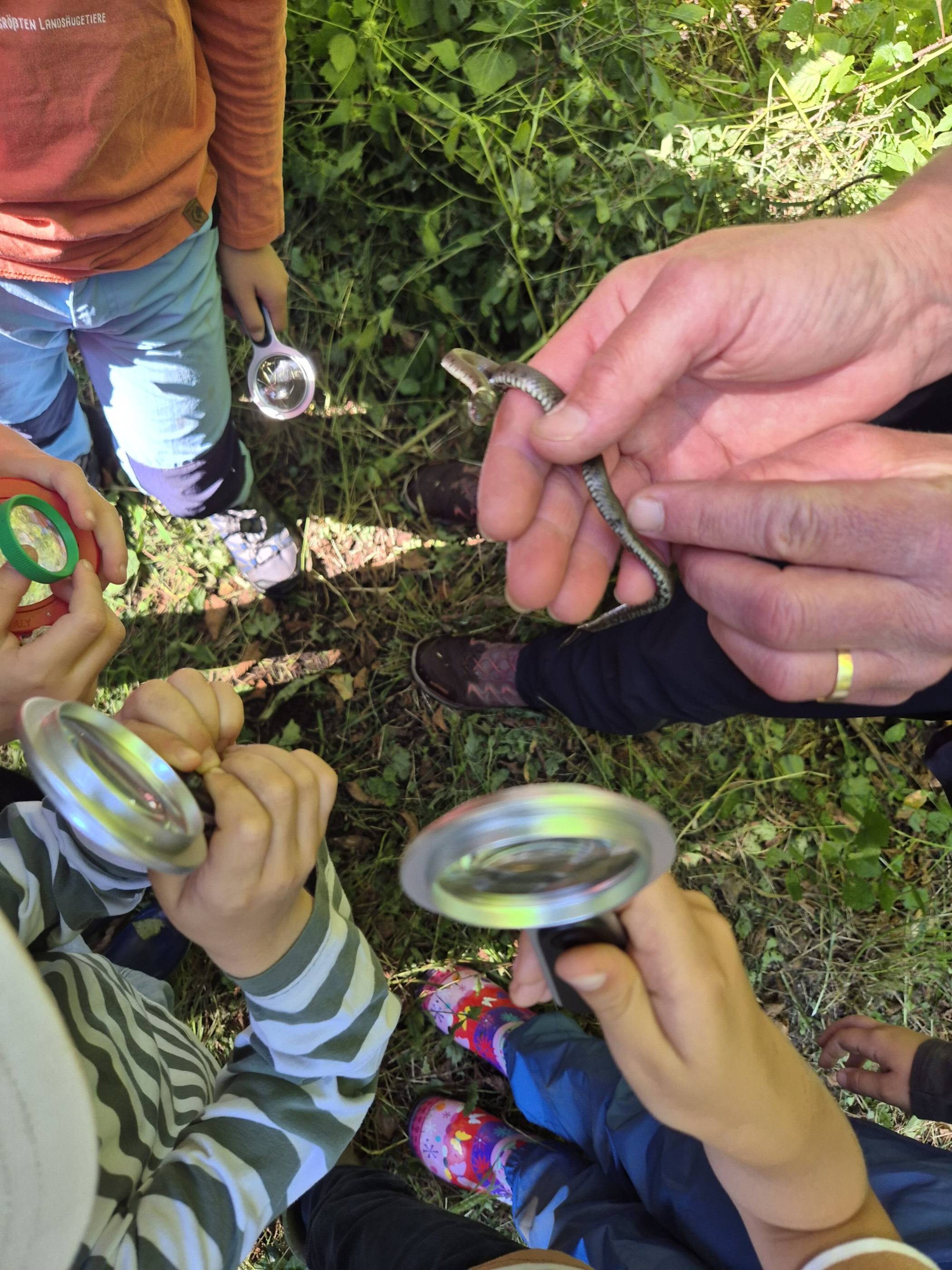  Familien mit Kindern ab vier Jahren, die Inhaber der Familienkarte sind, können an der Veranstaltung „Naturdetektive unterwegs“ teilnehmen.   