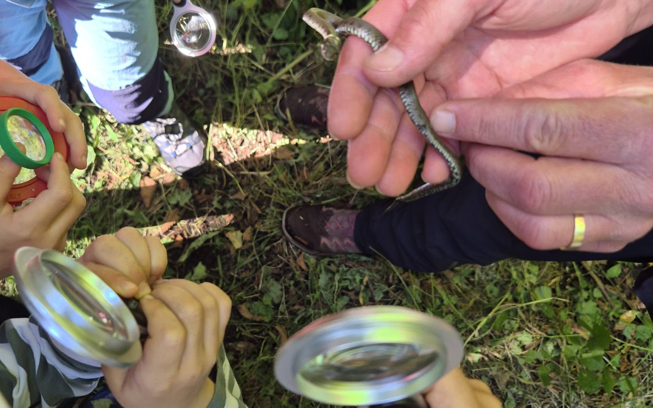 Naturdetektive, aufgepasst!