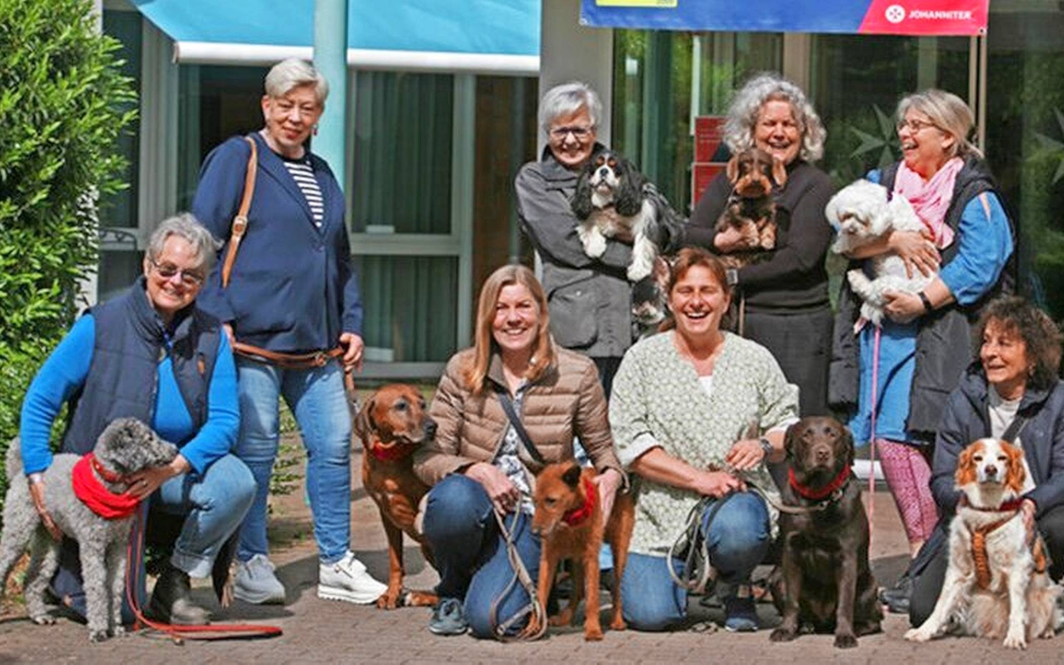Das Seelenhunde-Team sucht noch Verstärkung.⇥Foto: privat