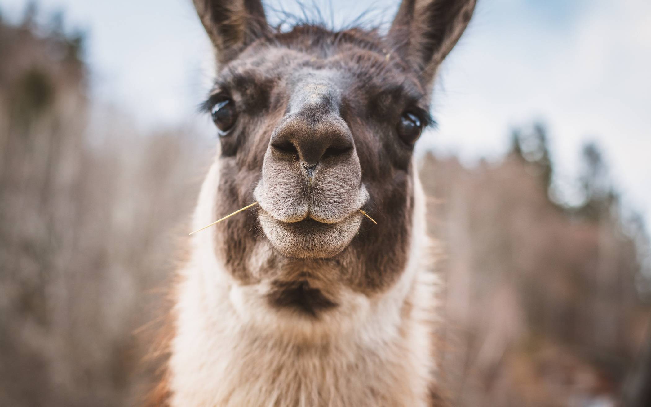 Der Naturpark Schwalm-Nette bietet am Sonntag,