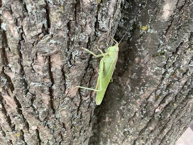 In der Kita Löwenzahn wird forschendes Lernen fest in den Alltag integriert, sodass das kreative, erfinderisches und kritisches Denken gefördert wird