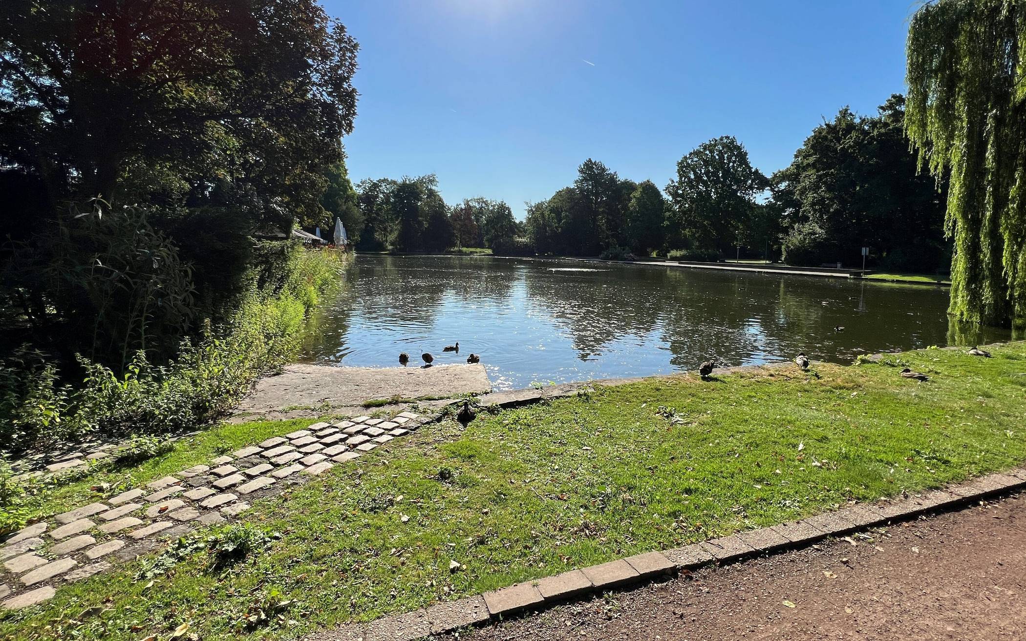 Artenschutzbelange im Blick