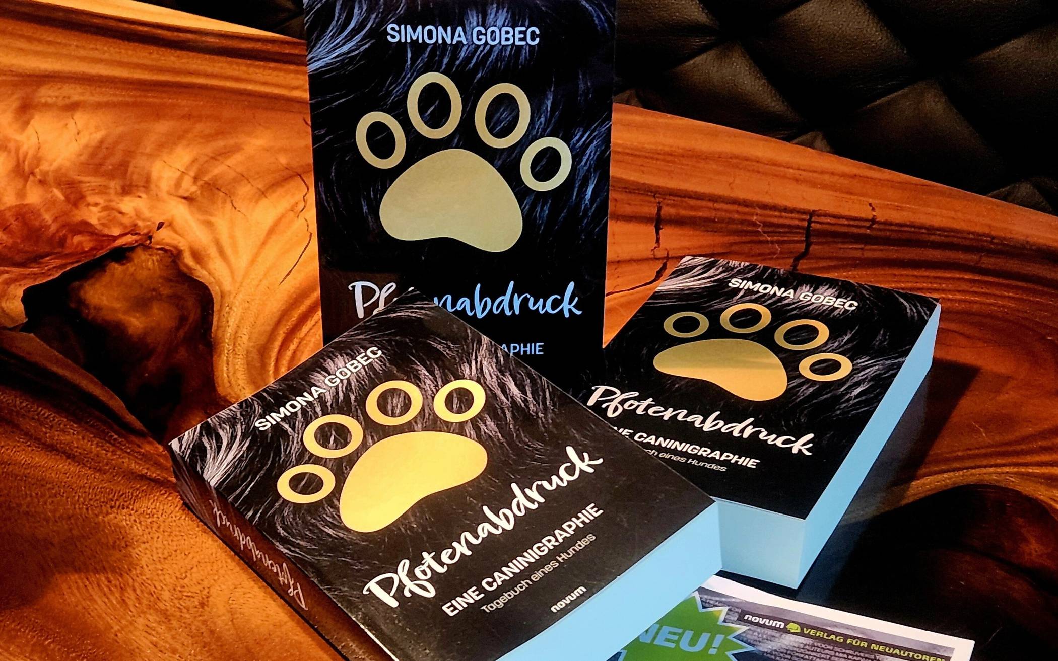 Tagebuch eines Gordon Setters