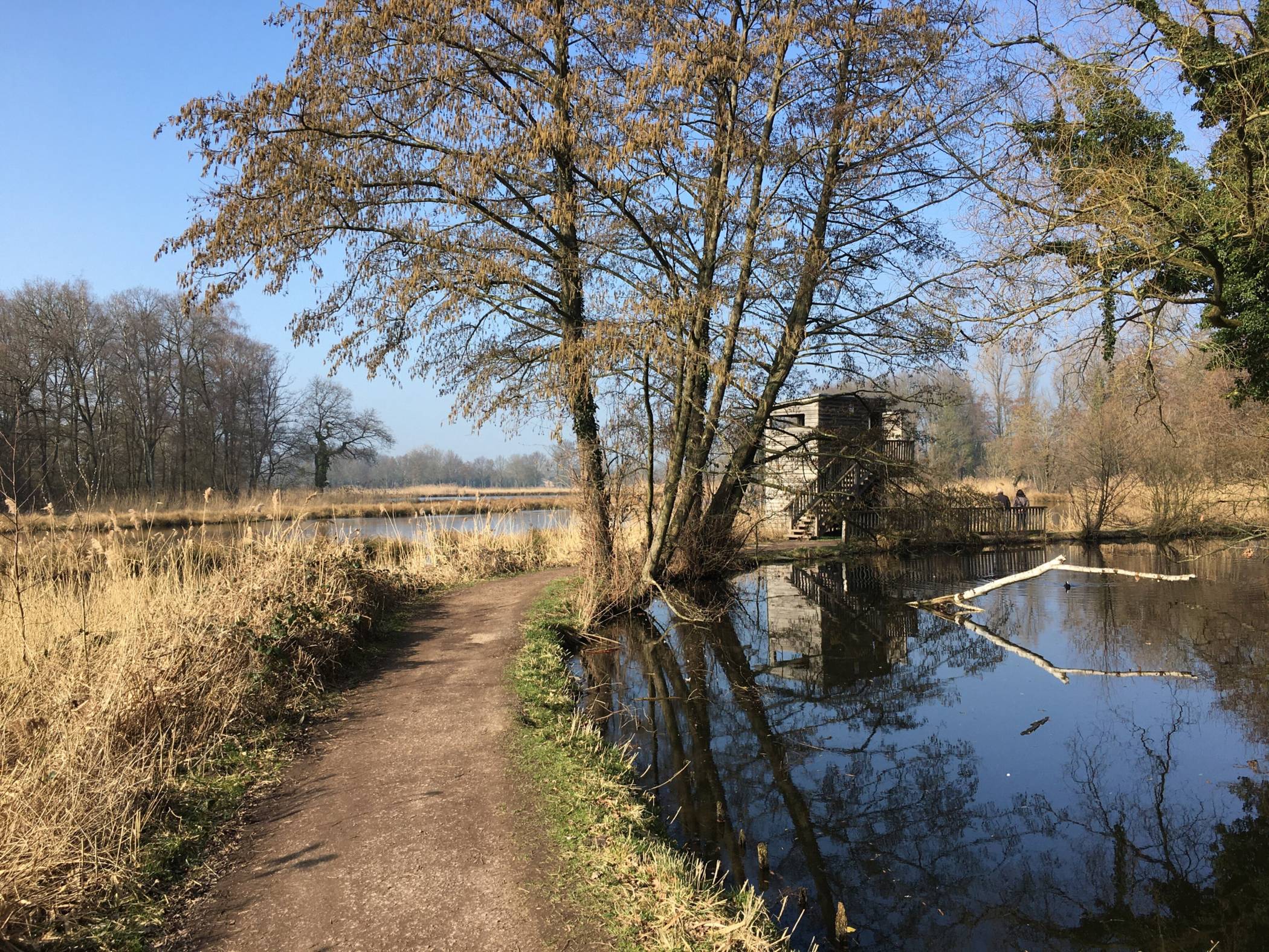Die Vogelwelt lässt sich am De Witt-See sehr gut beobachten, auch vom Aussichtsturm aus.