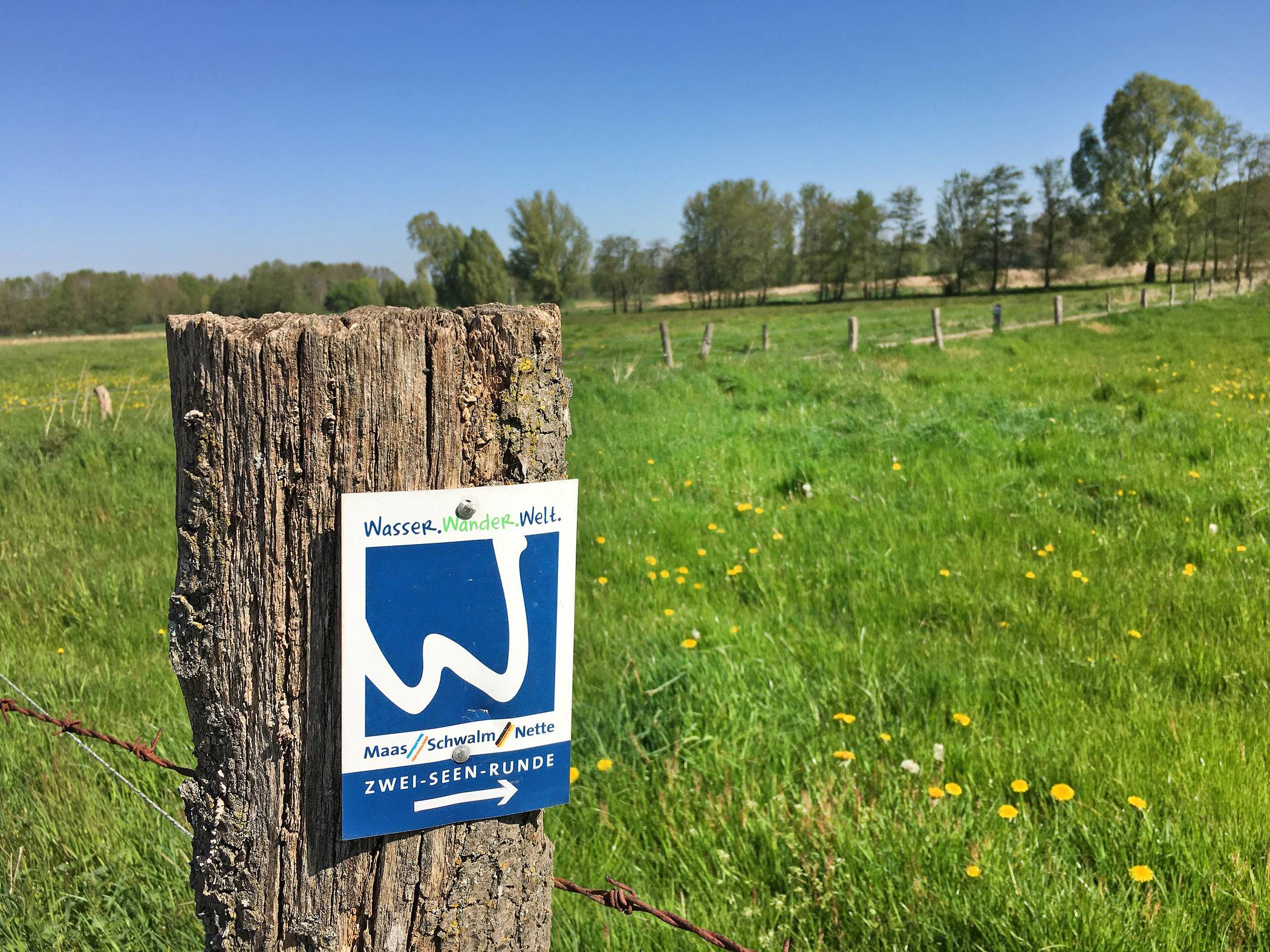 Die typischen Schilder mit Wiedererkennungswert weisen den Weg durchs Wandergebiet: Hier die Zwei-Seen-Runde.