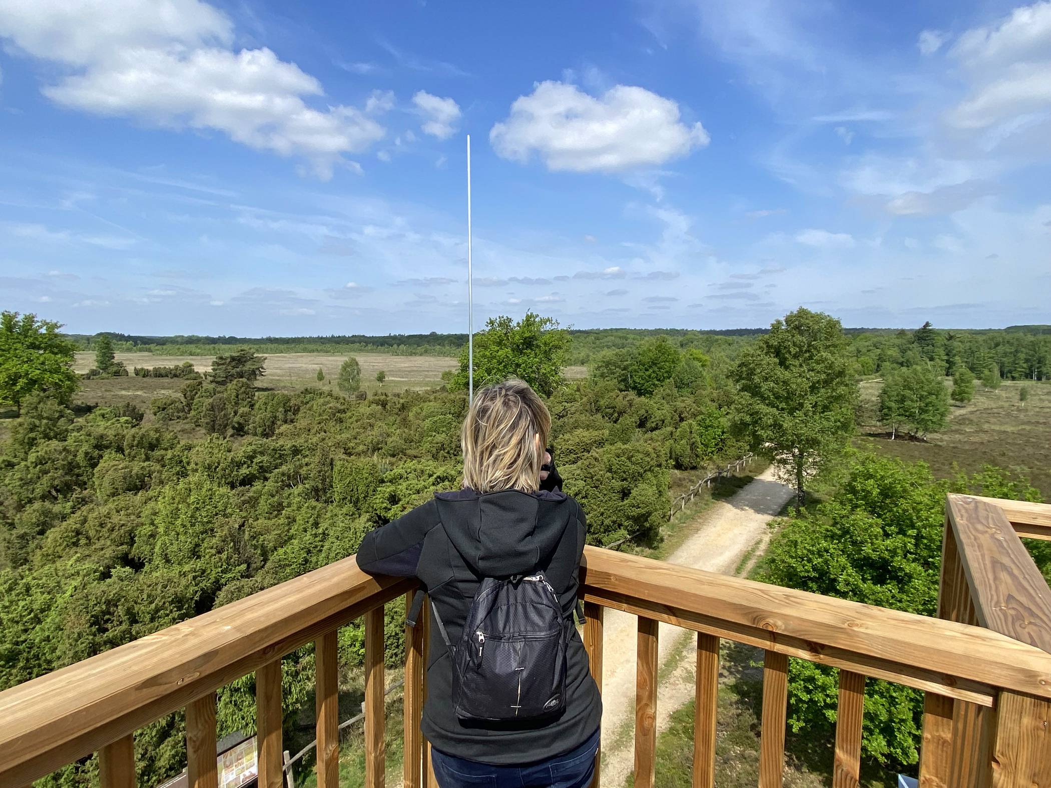  Im Schwalmbruch steht der Aussichtsturm hoch über der Wacholderheide. 