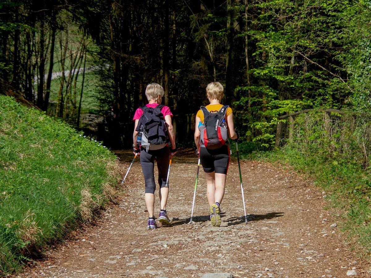 Wandertag auf Hinsbecker Höhen