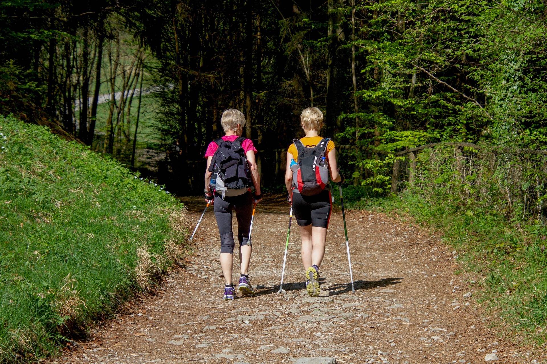 Beim Wandertag kann man diverse Strecken