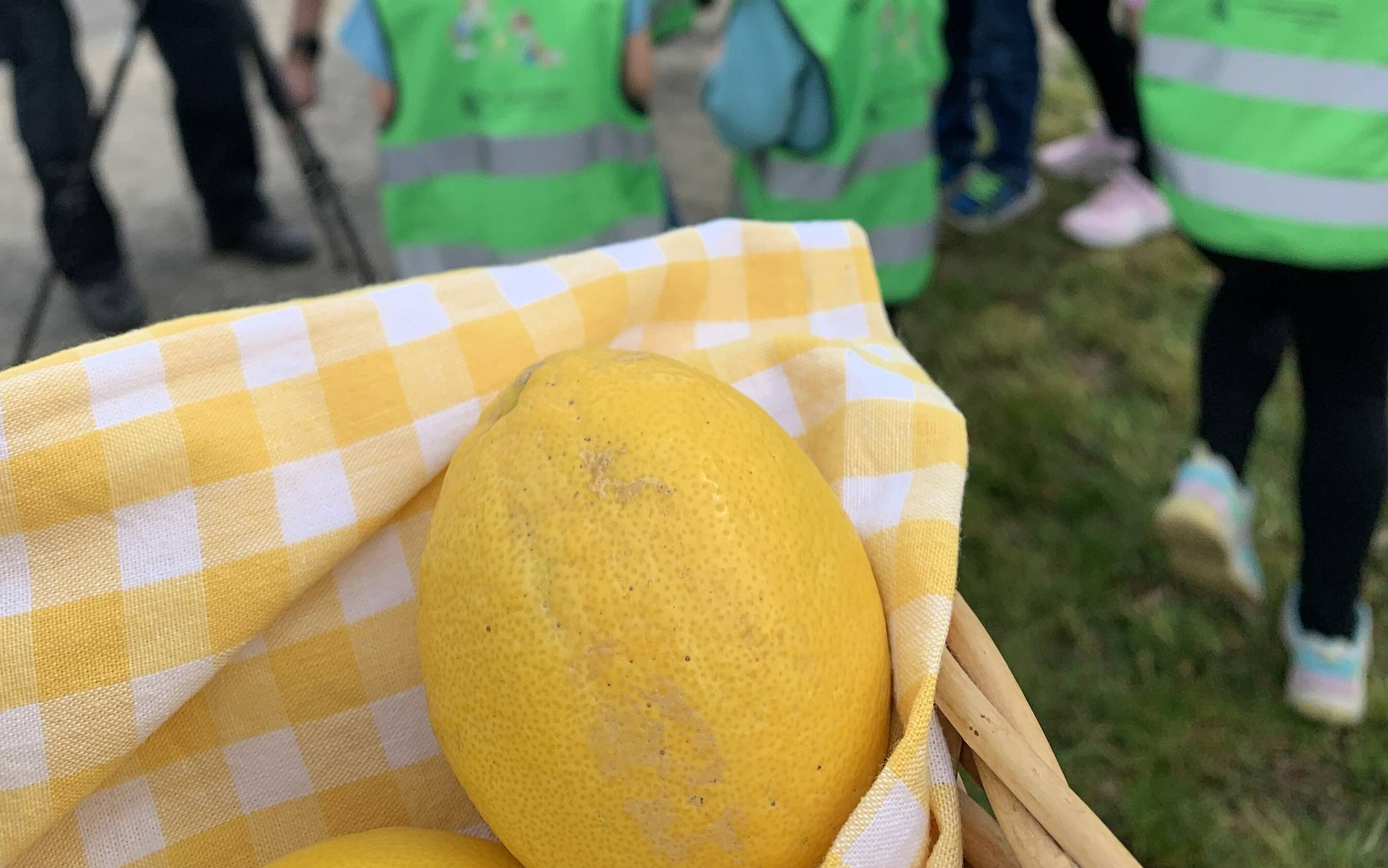 Zitronen für zu schnelles Fahren: Verkehrssünder ermahnt