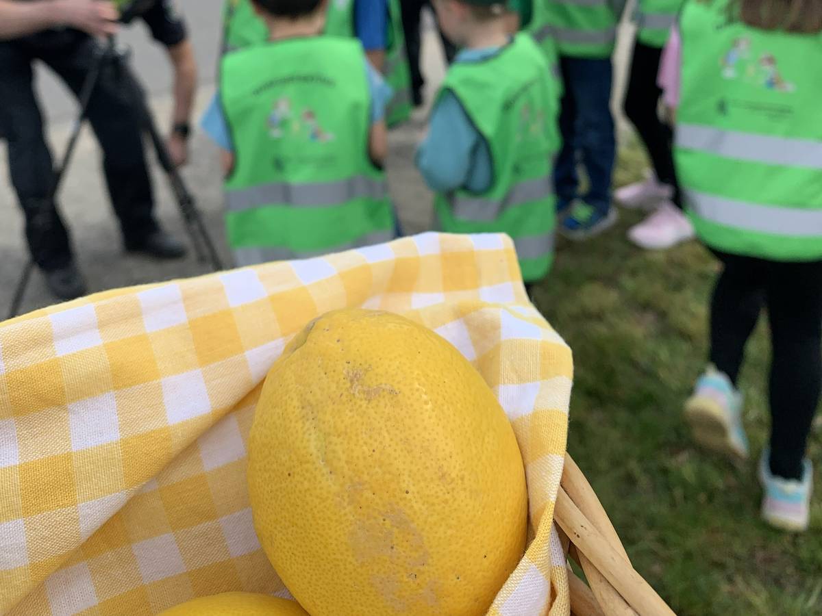 Zitronen für zu schnelles Fahren