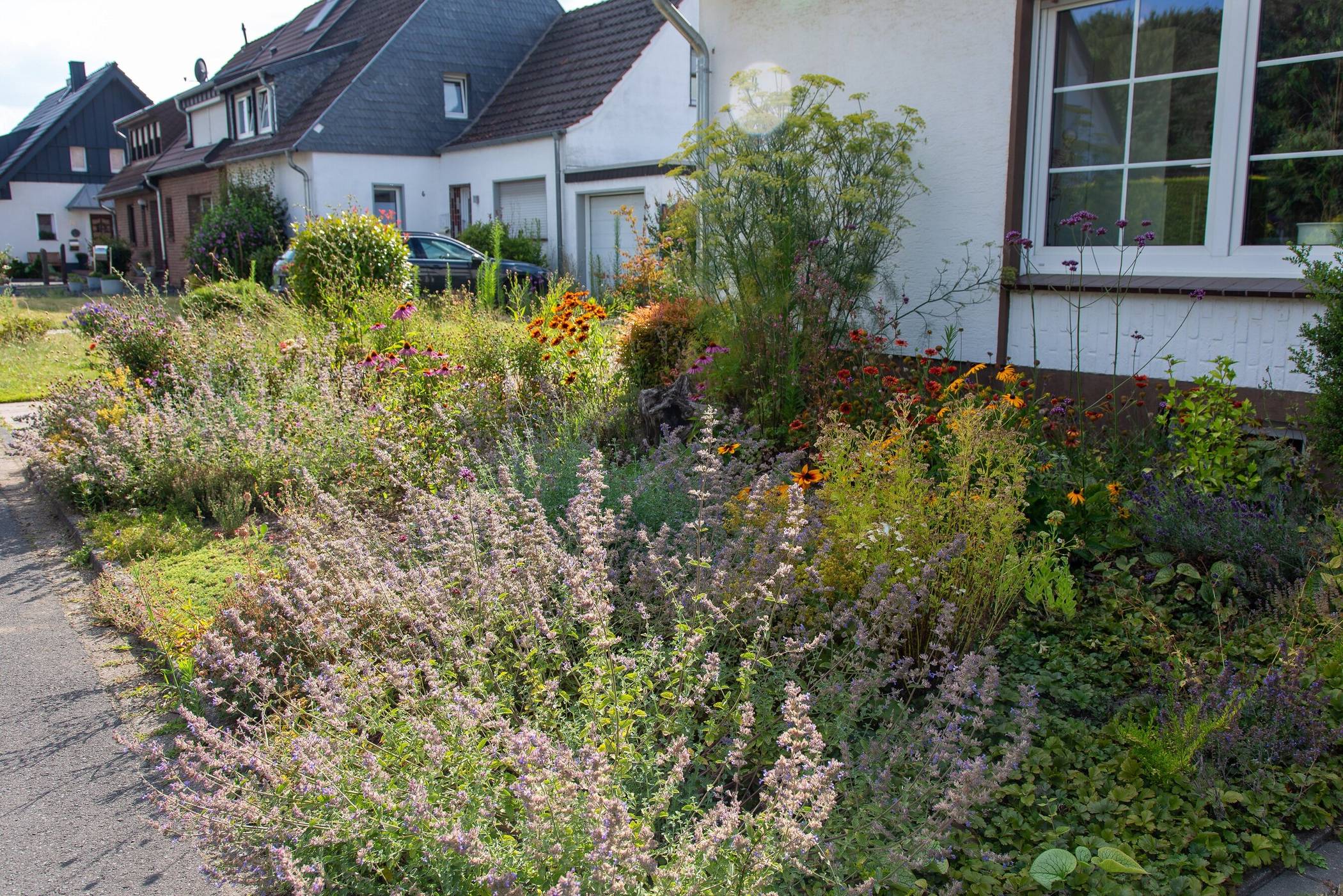 Durch die vielfältige, heimische Bepflanzung entsteht unter anderem nur ein wertvoller Rückzugsort für Insekten. 