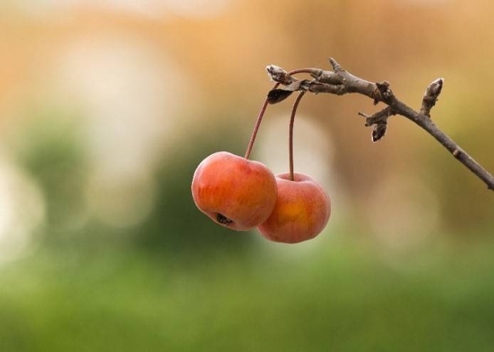  Die Stadtbücherei Neukirchen-Vluyn zeigt ab 12. Mai Fotos von Reinhard Schmitz, Rosemarie Abel, Martin Witte, Sven Heimbach und Uwe Westphal. 