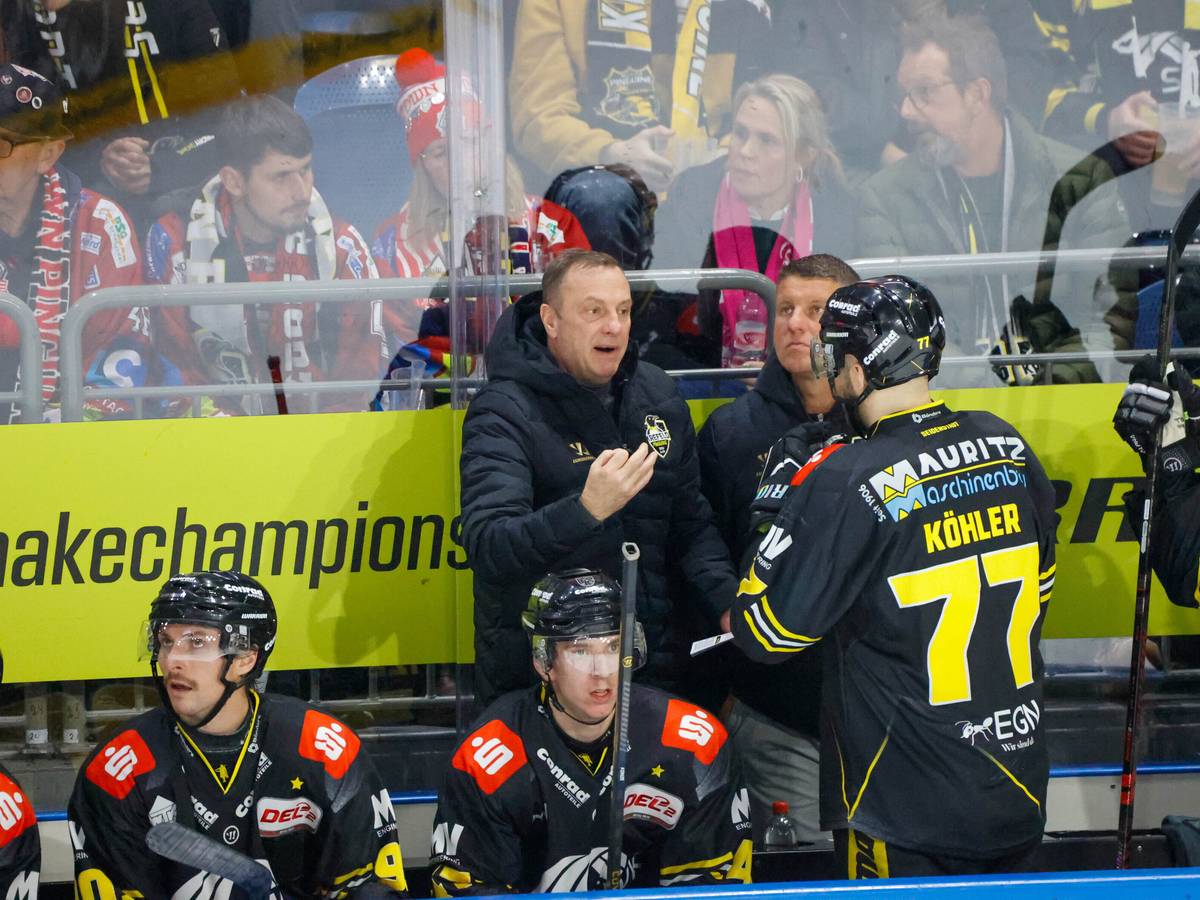 Diese Spieler werden die Pinguine verlassen