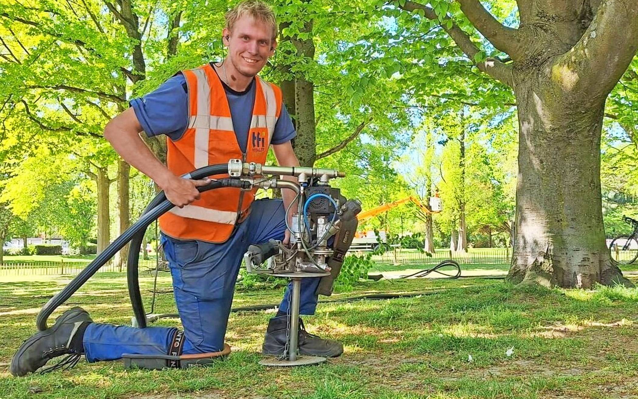 Rettungsaktion für Bäume