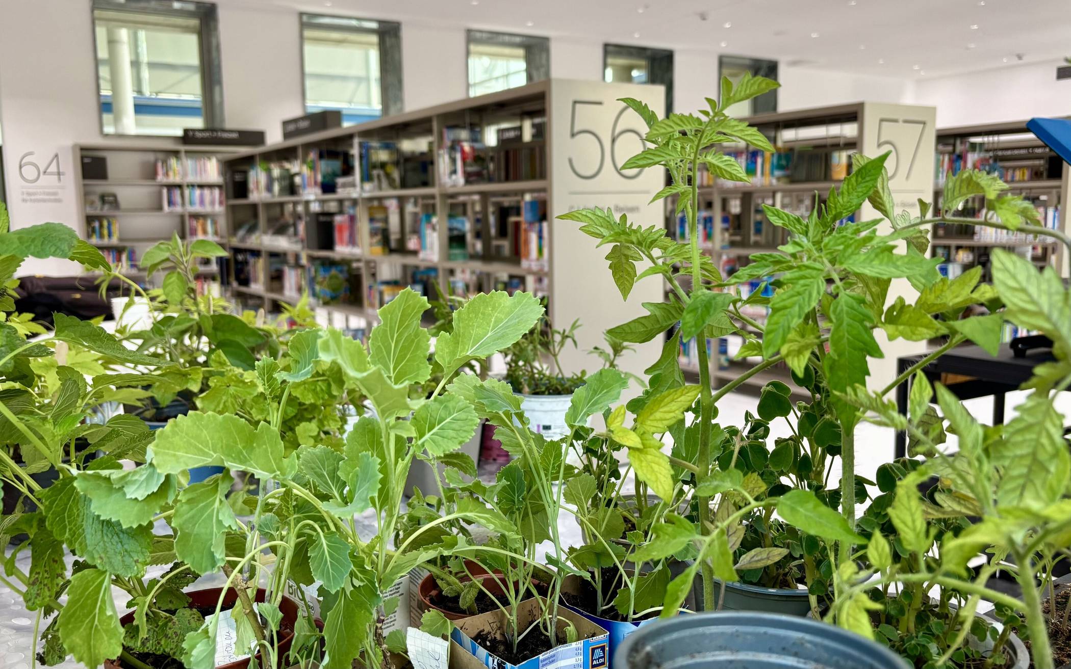 Die Saatgutbibliothek lädt am 20. Mai