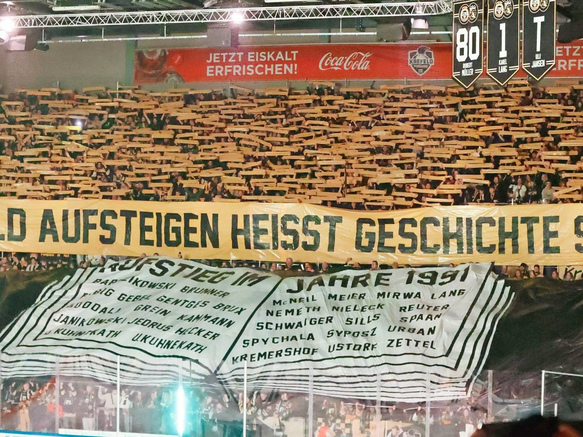 Die Rückkehr der Pinguine: DEL-Lizenz ist beantragt