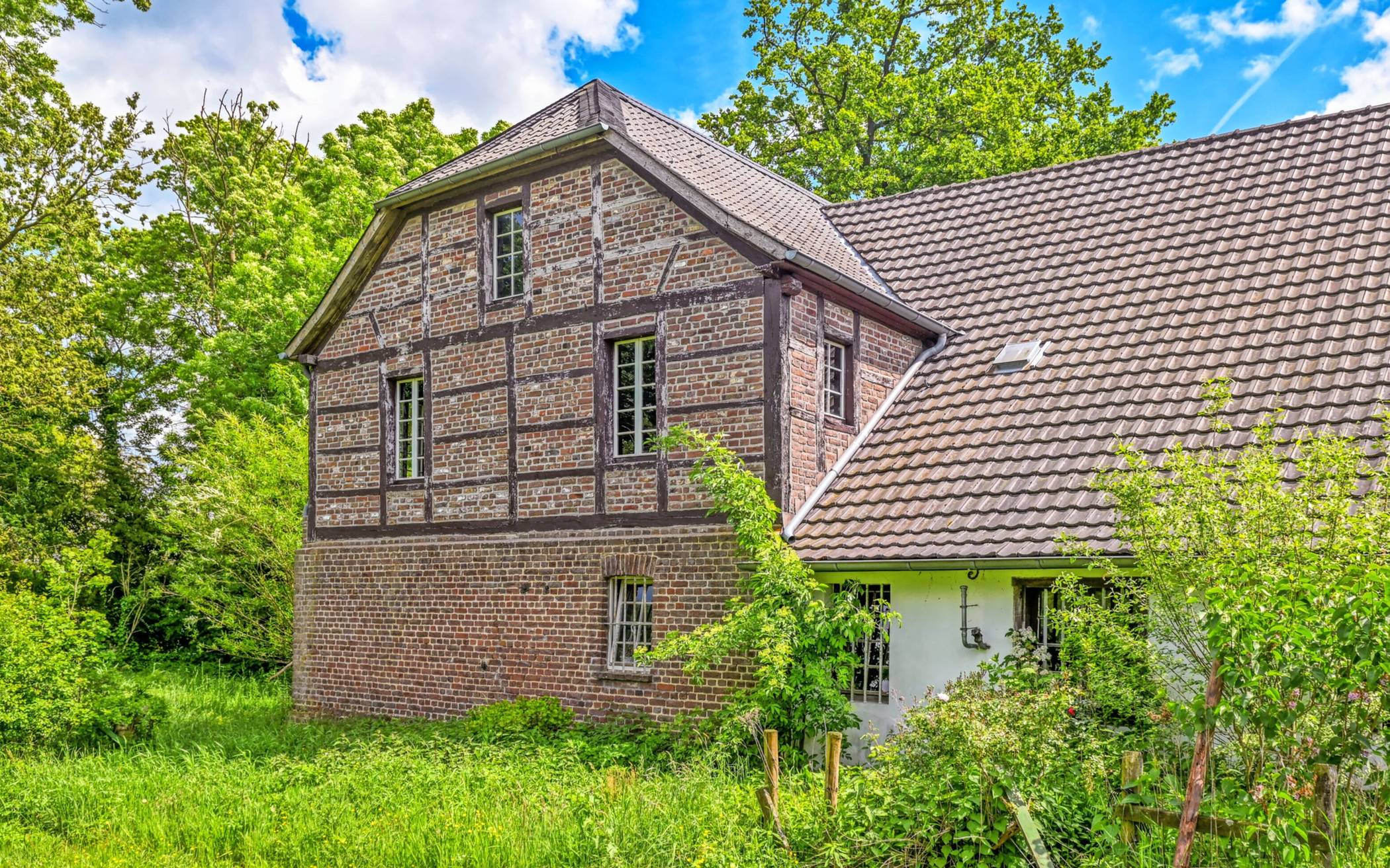  Morgen lädt die Clörather Mühle zum Mühlentag ein, bei dem auch ein Blick ins Storchennest möglich ist. Am Samstag spielen „Flat Blues LTD“ (kl. Bild oben) zum Mühlenblues.  