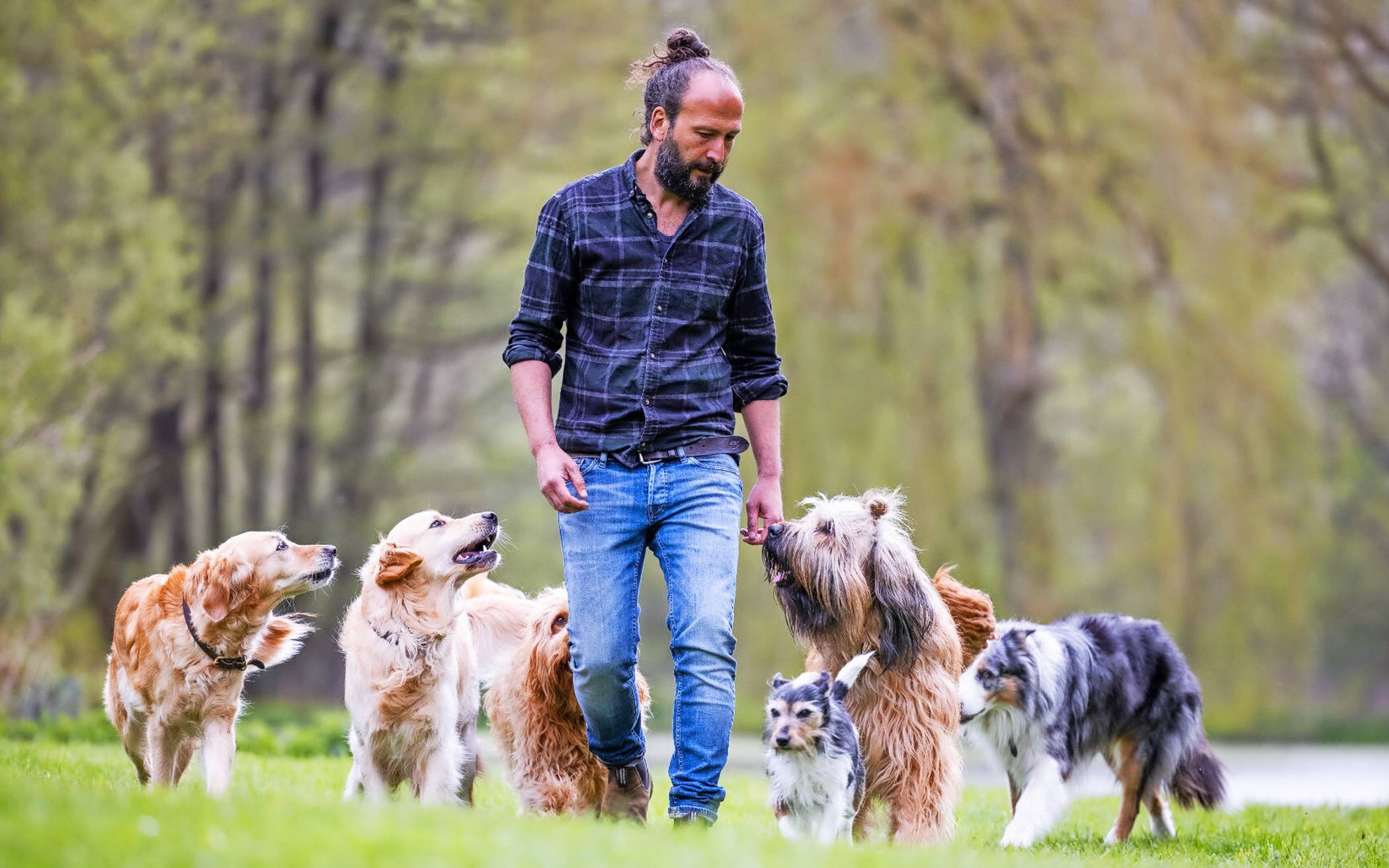 Bestseller-Autor und Hundetrainer Sami El Ayachi.⇥Foto: