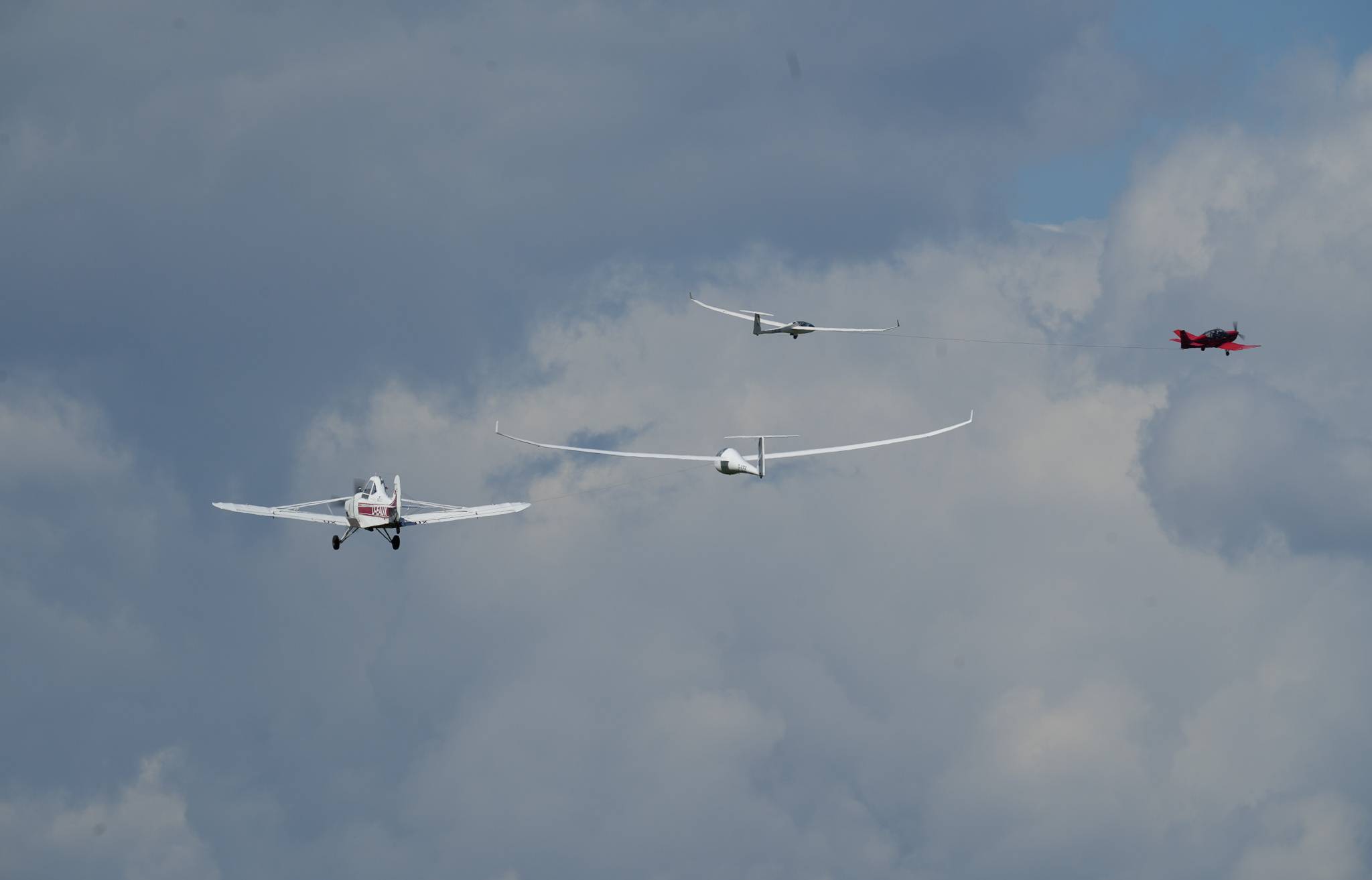 Aero Club und Verein für Segelflug: „Rhein Glide"-Premiere
