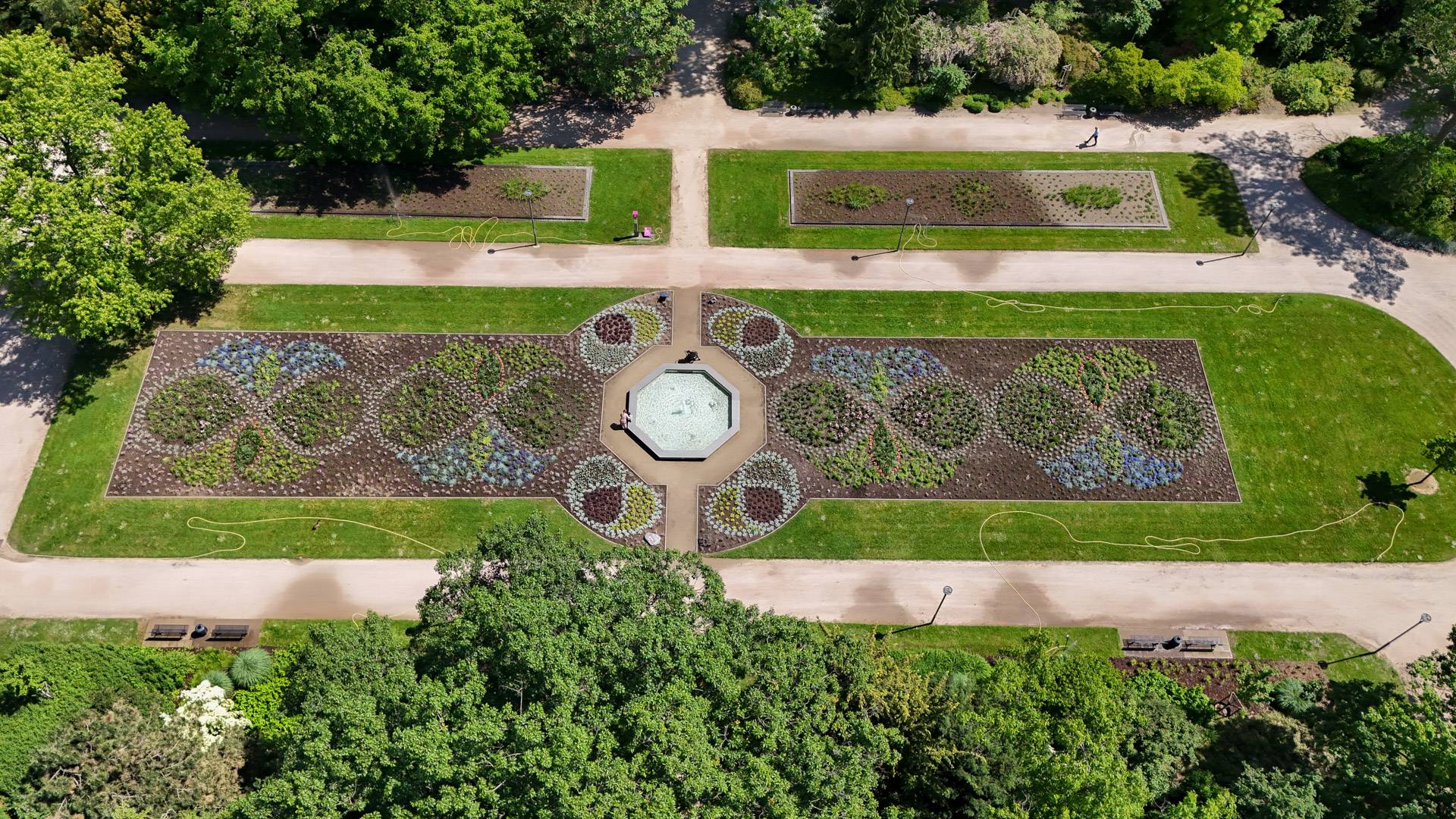 Das Blumenparterre greift zum Jubiläum das mags-Logo auf.F