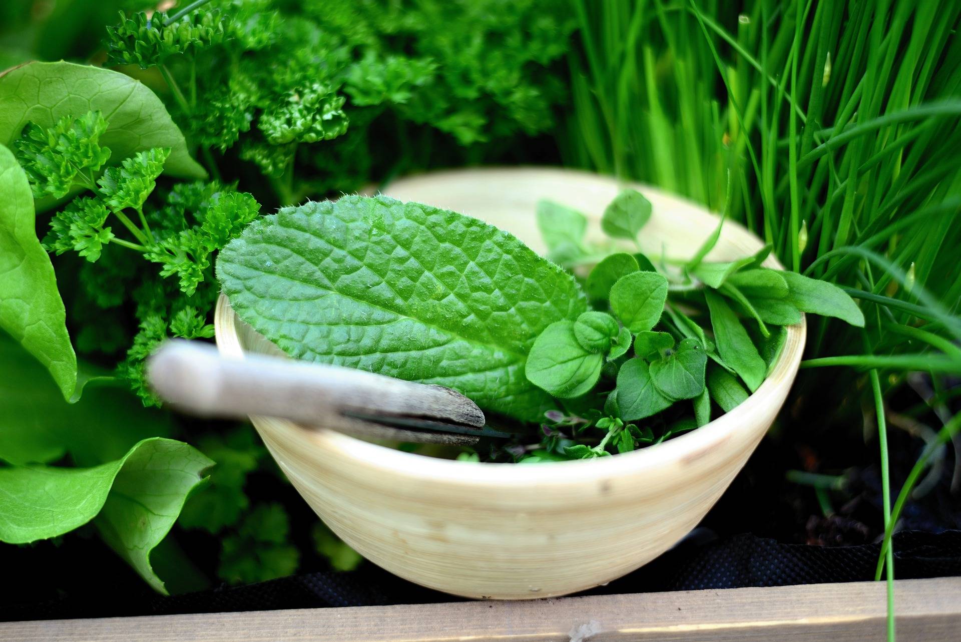 Kempen gärtnert gemeinsam: Urban Gardening im Hagelkreuz