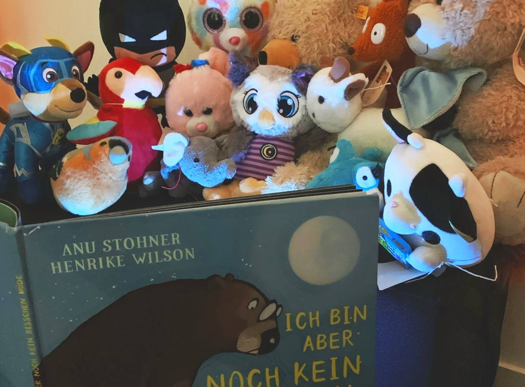 Kleine Kuschelfreunde erleben Abenteuer in der Bibliothek.   