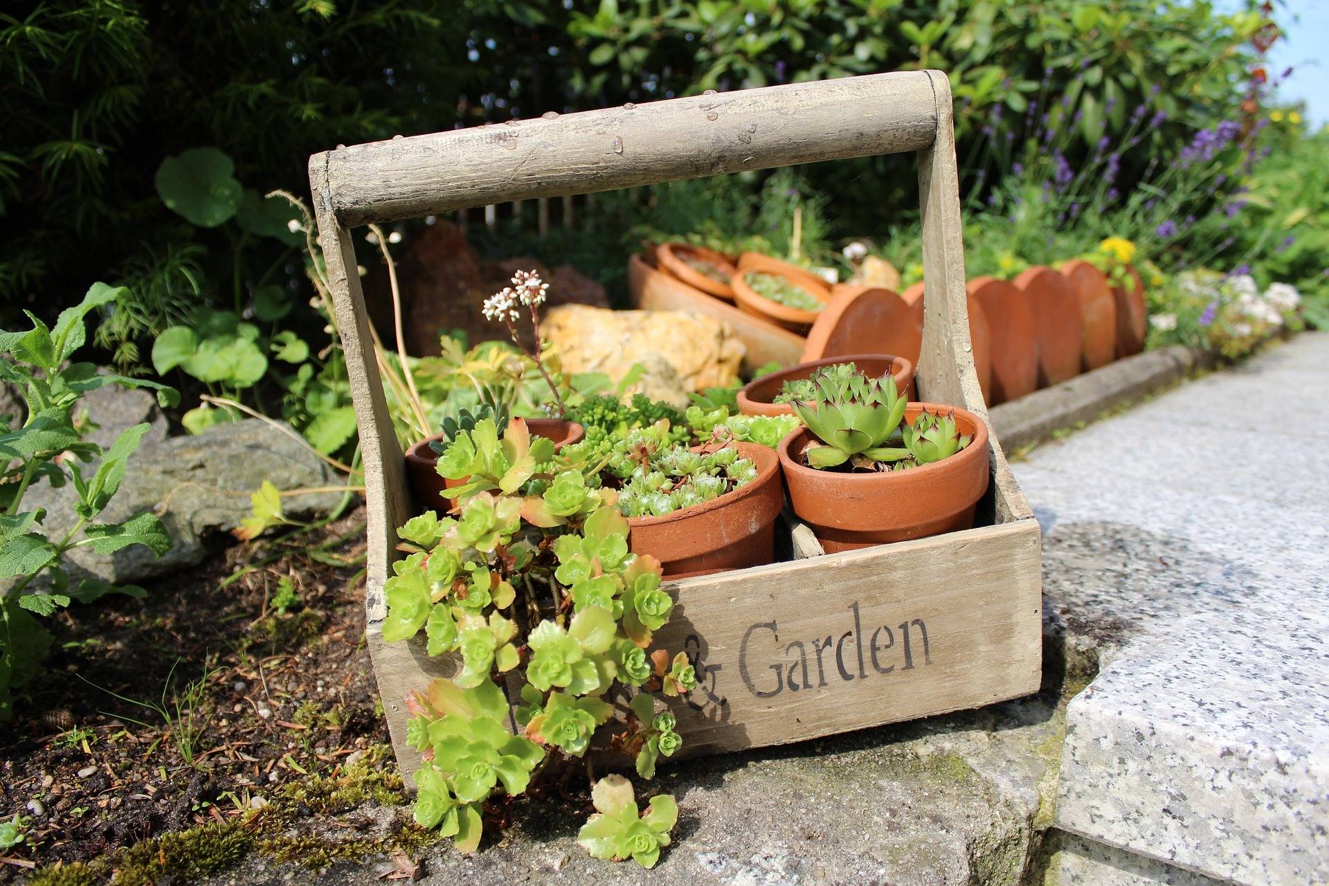  Die Dülkener Gartenlust lädt ein... 