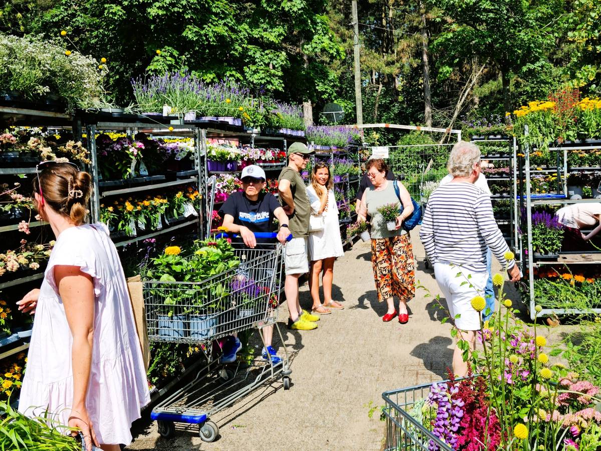 Stauden-Benefiz-Markt in Rumeln