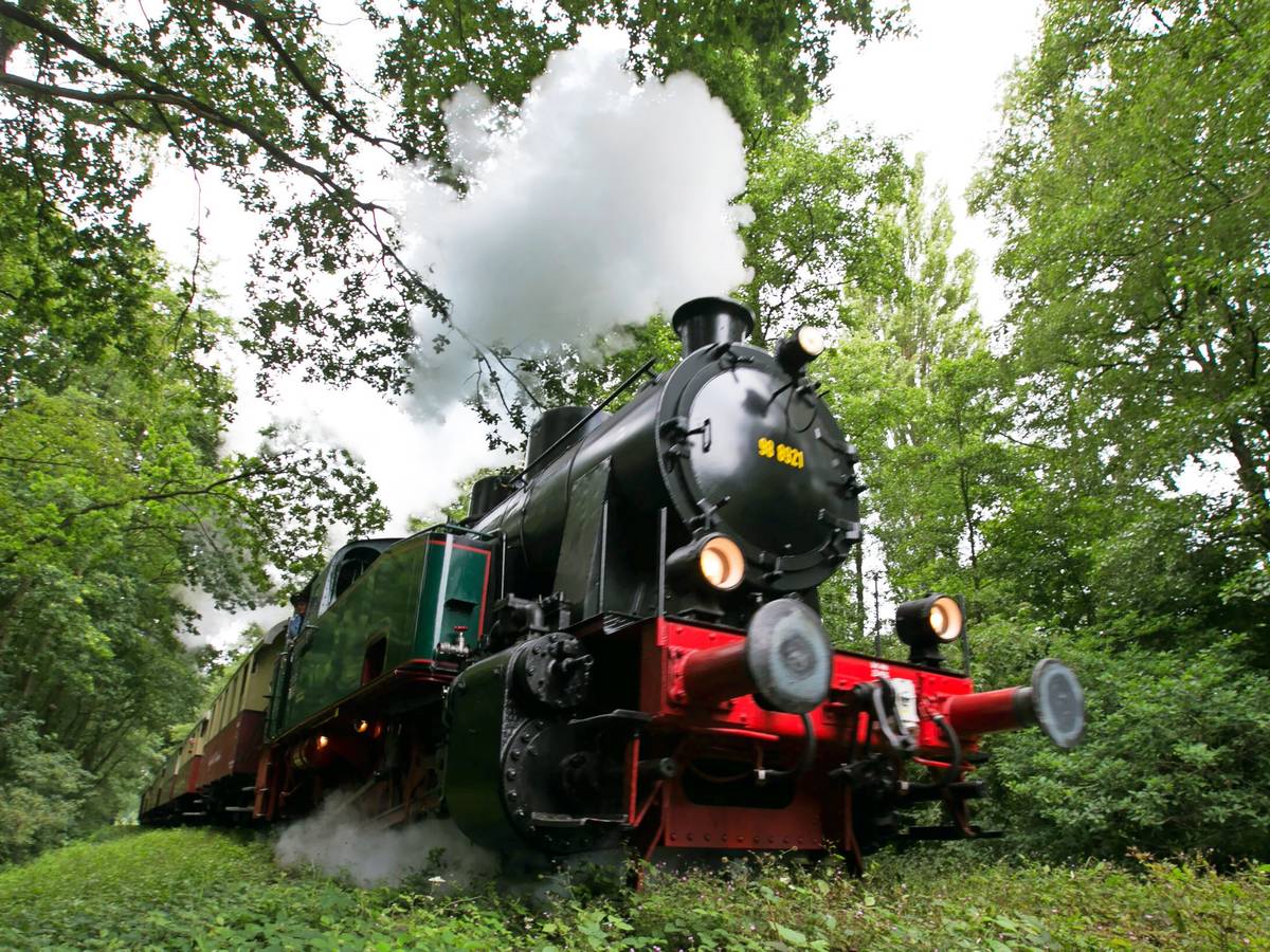 Die letzte Schluff-Saison ist fast ausverkauft