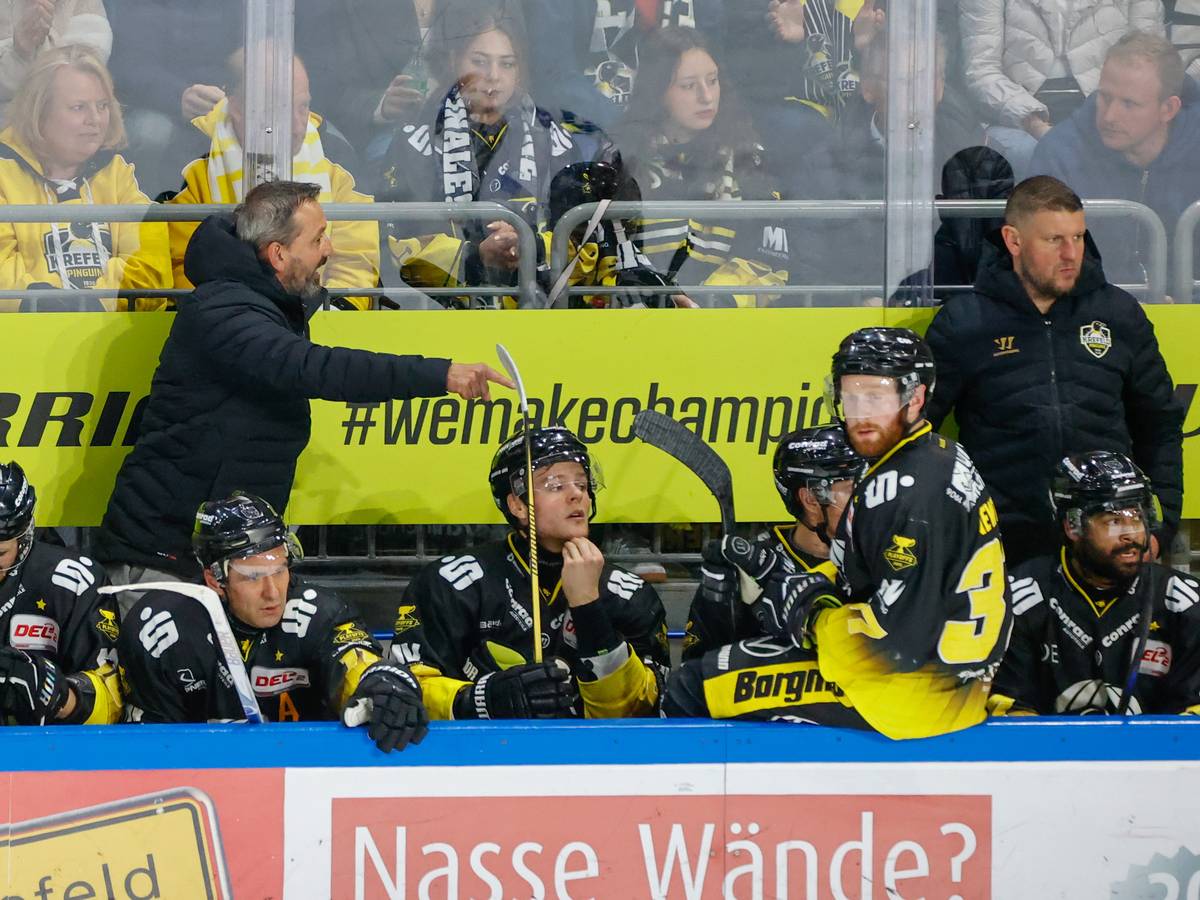 Pinguine starten gegen Bremerhaven und in Straubing