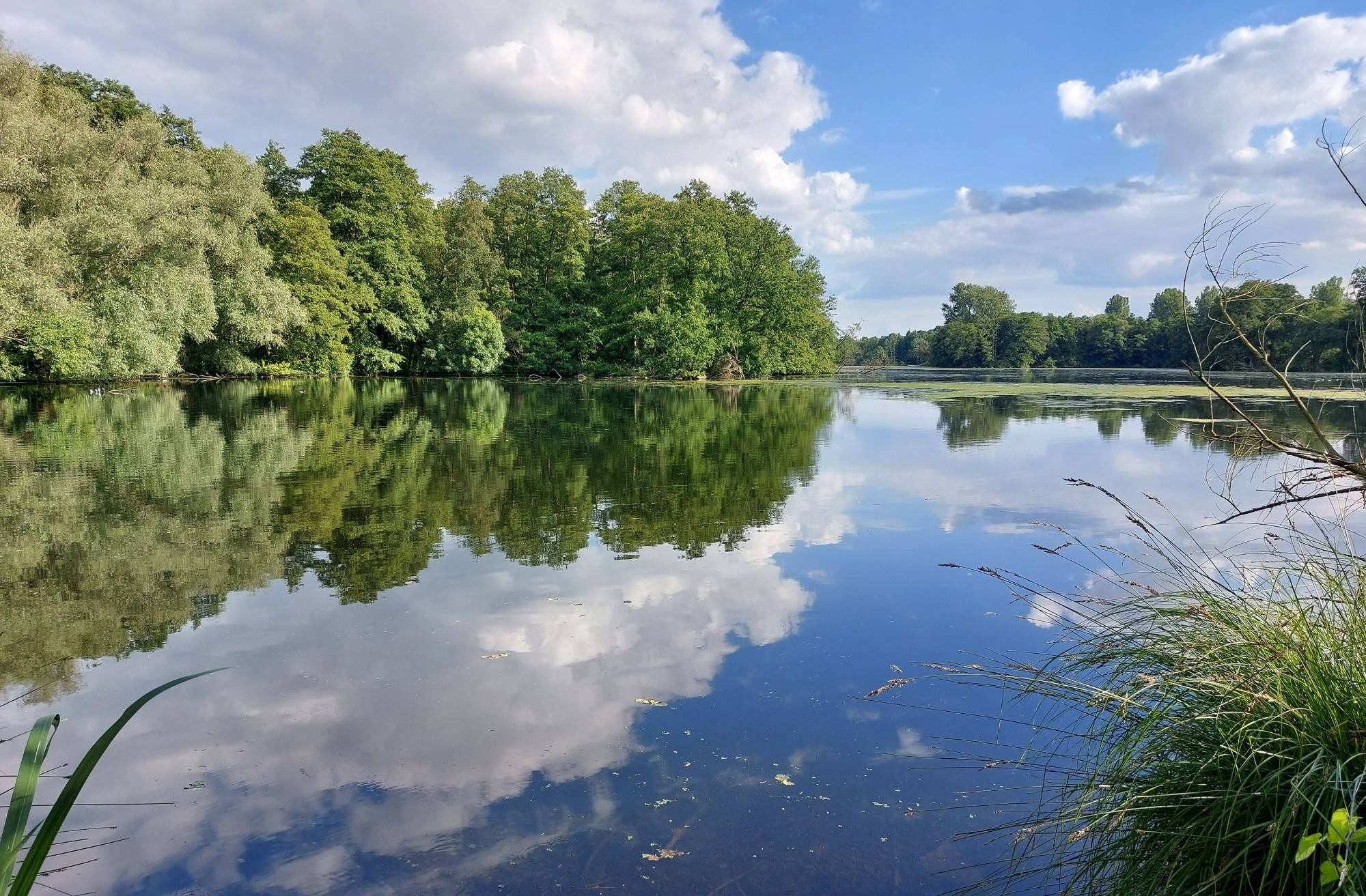  Die Radroute führt die Radfahrenden ein Teilstück über die ehemalige Bahntrasse vorbei am De Wittsee.  