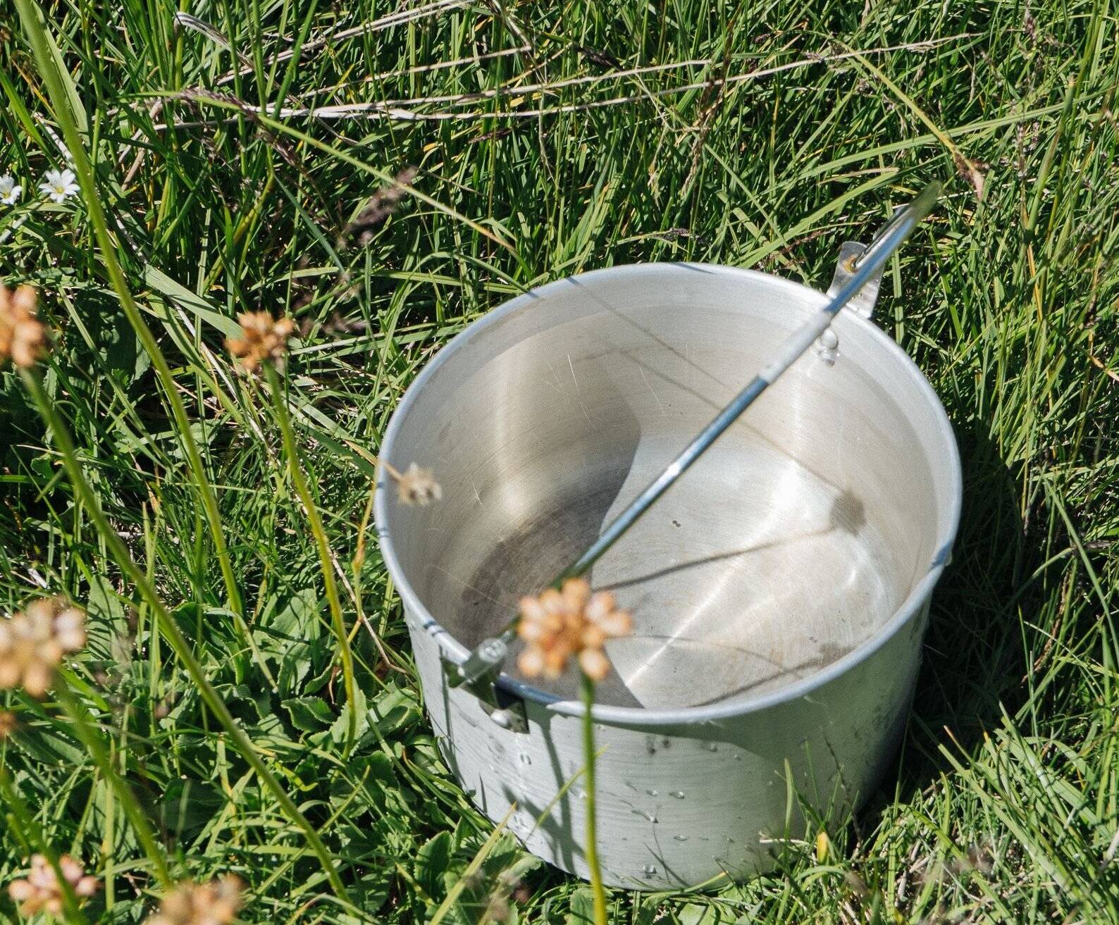 Ein Eimer Wasser kann Baum retten 