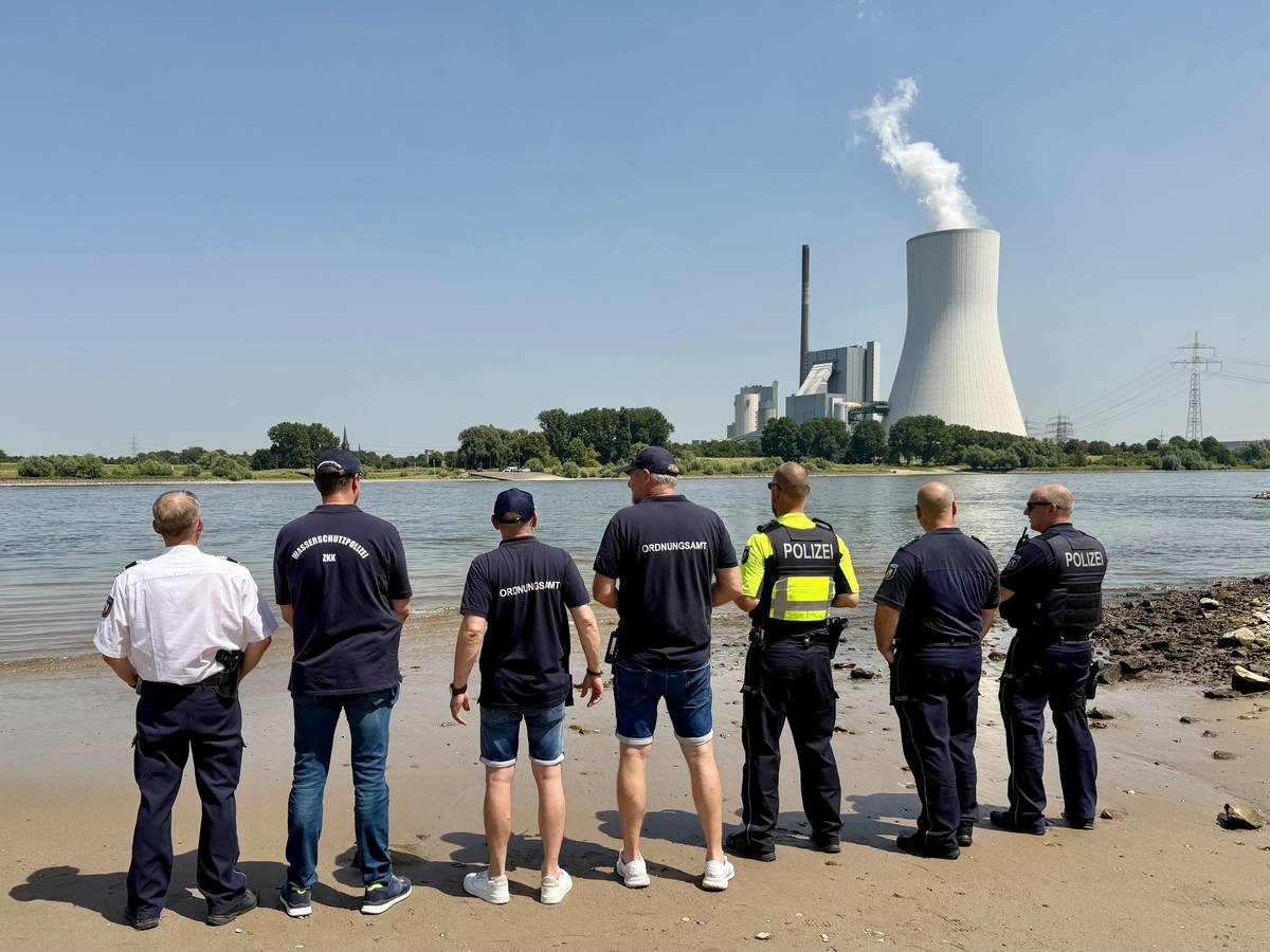 Aufklärung, Kontrollen und konsequentes Handeln