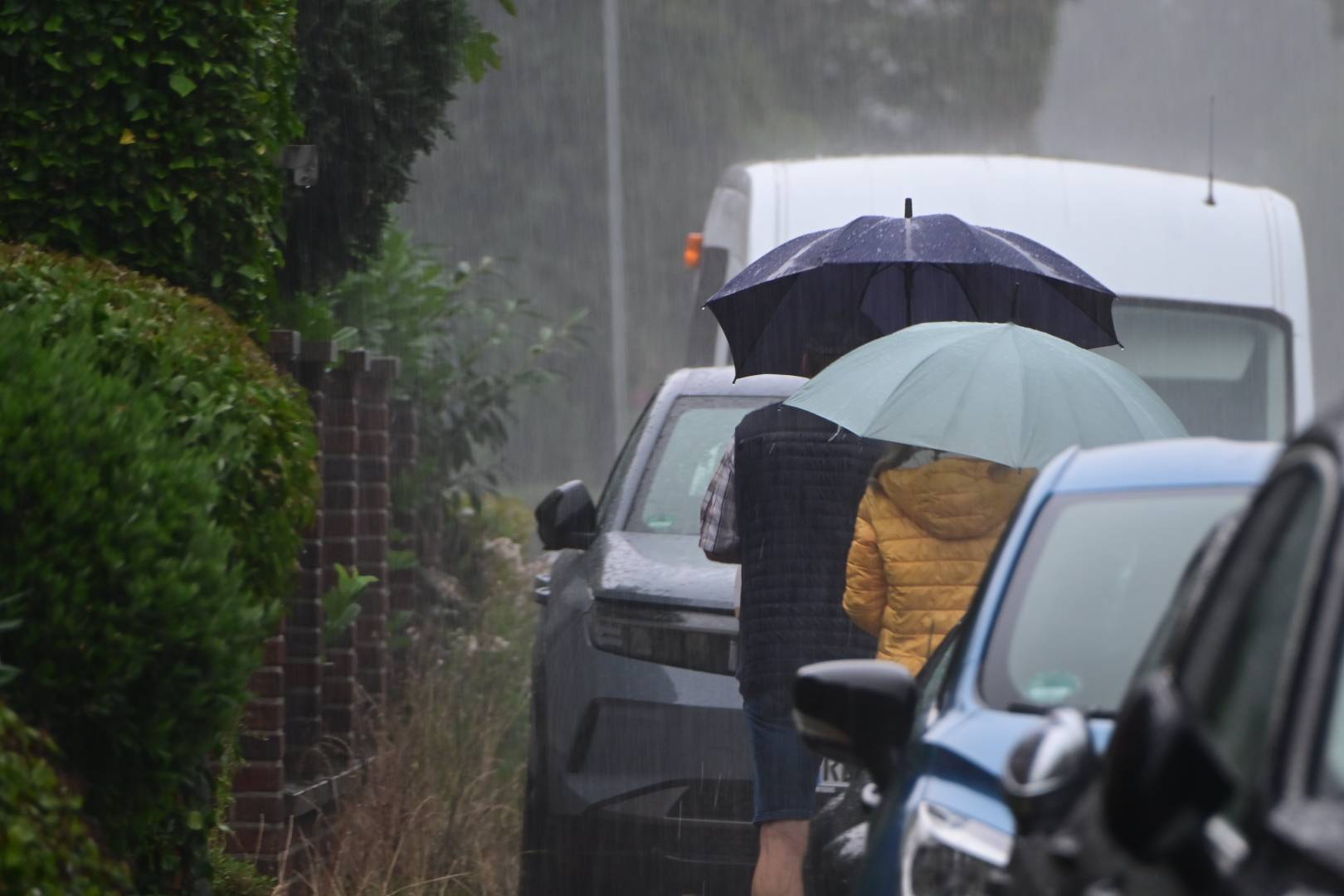 Endlich Regen...

