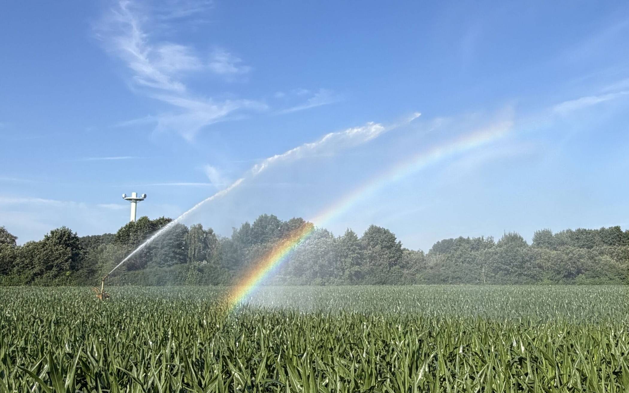  Das Thema „Wasser“ rückt auch politisch immer mehr in den Fokus.  