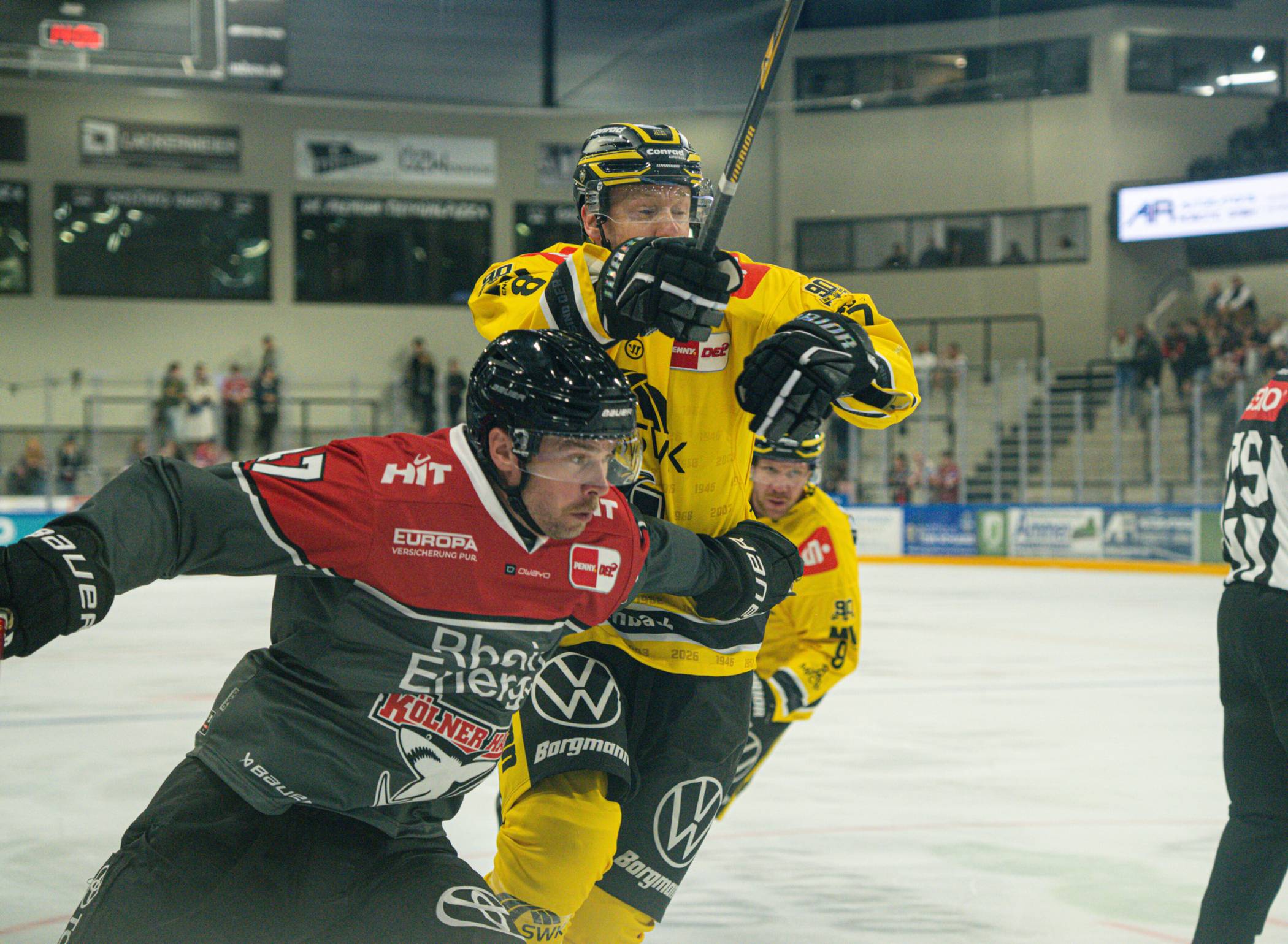 Die Krefeld Pinguine unterliegen Kölner Haien