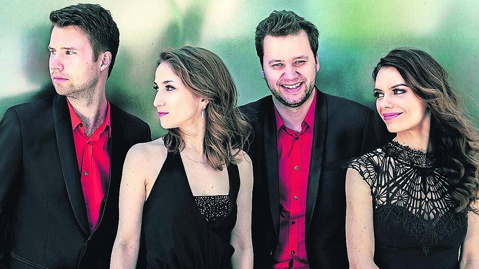 Streicher in der Harfenstadt