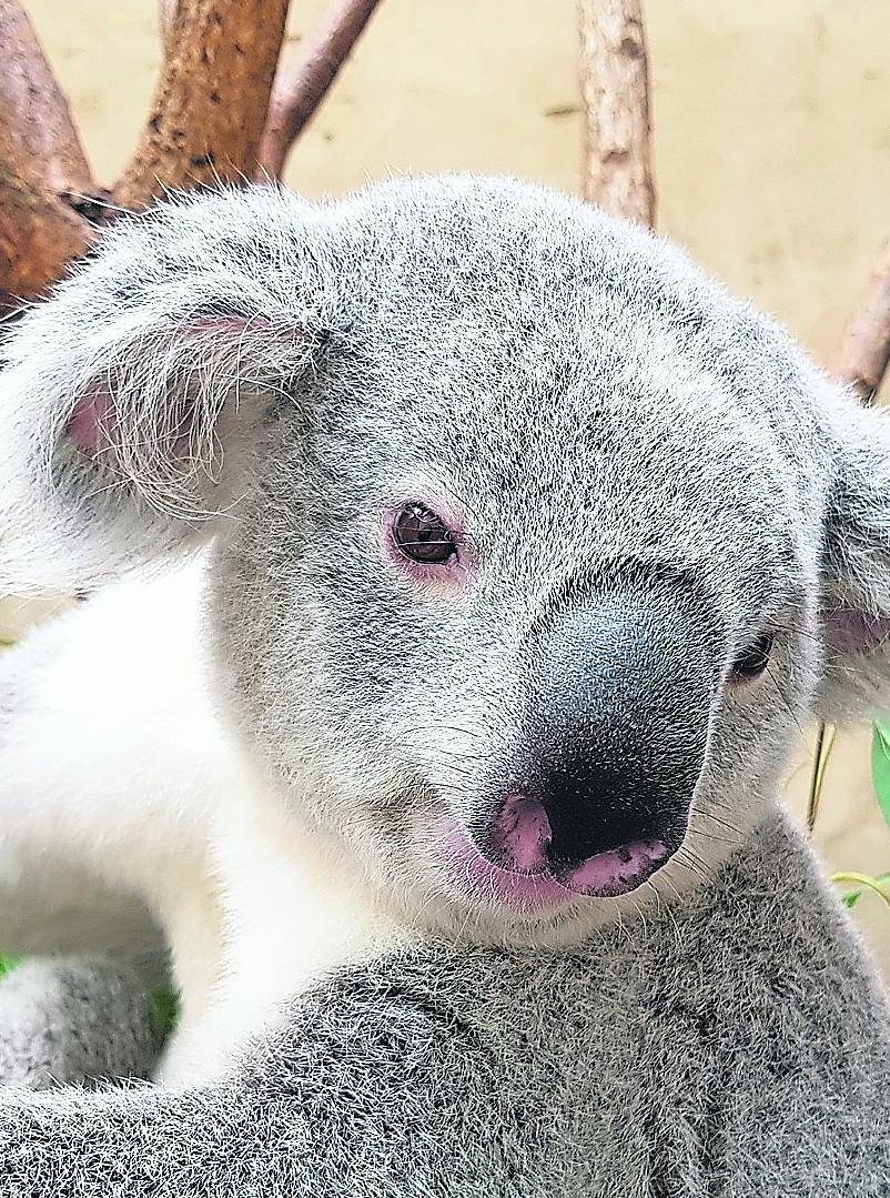Gezählt und für gut befunden