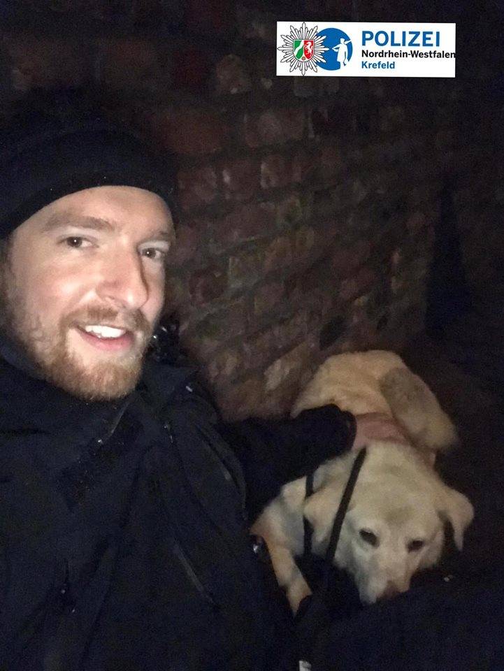 Golden Retriever war vier Wochen auf Tour