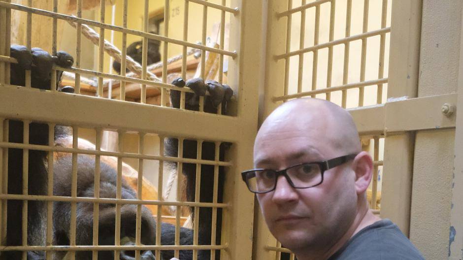 Der mit den Gorillas spielt
