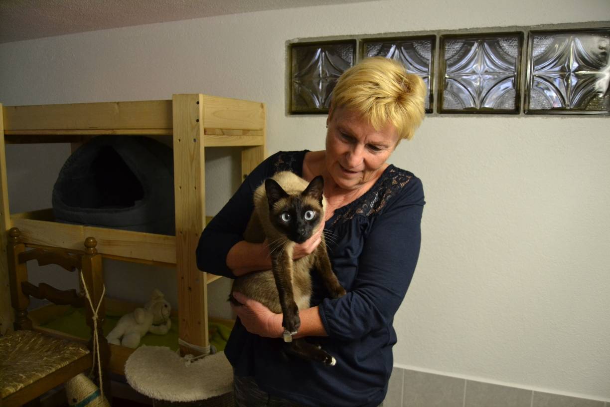 Gelungene Rettungsaktion: Alle für die Katz!