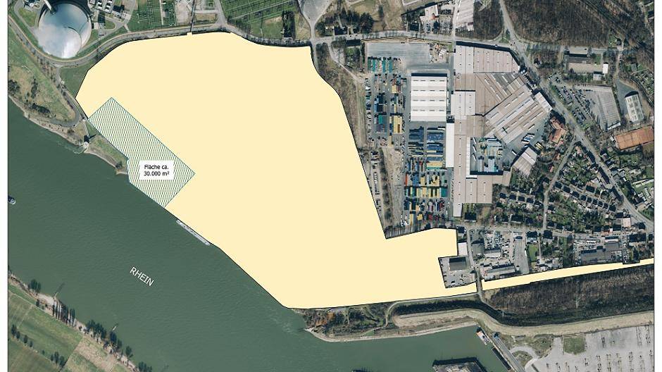 B-Pläne gegen das Holzkraftwerk