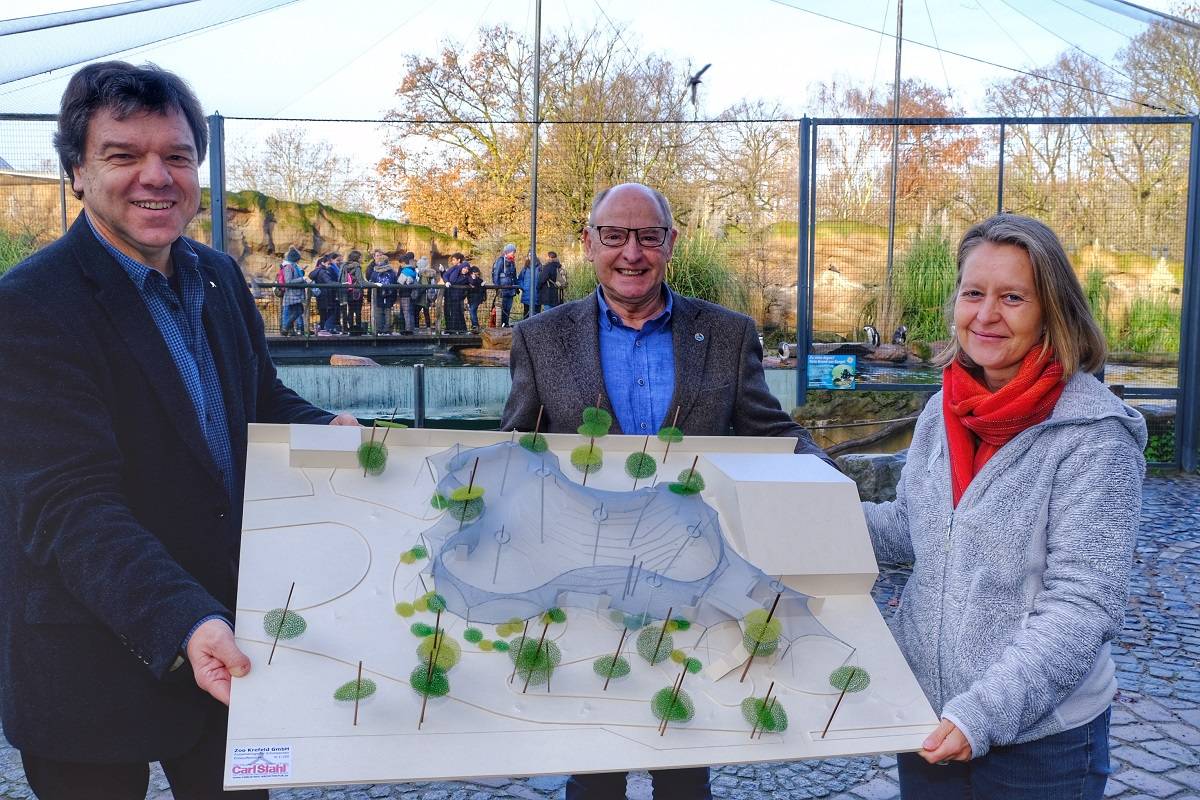 Ein Wald für Schimpansen