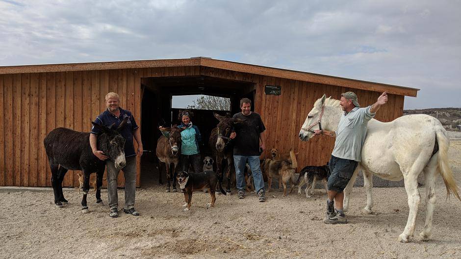 Auf Achse für die Fellnasen auf Santorini