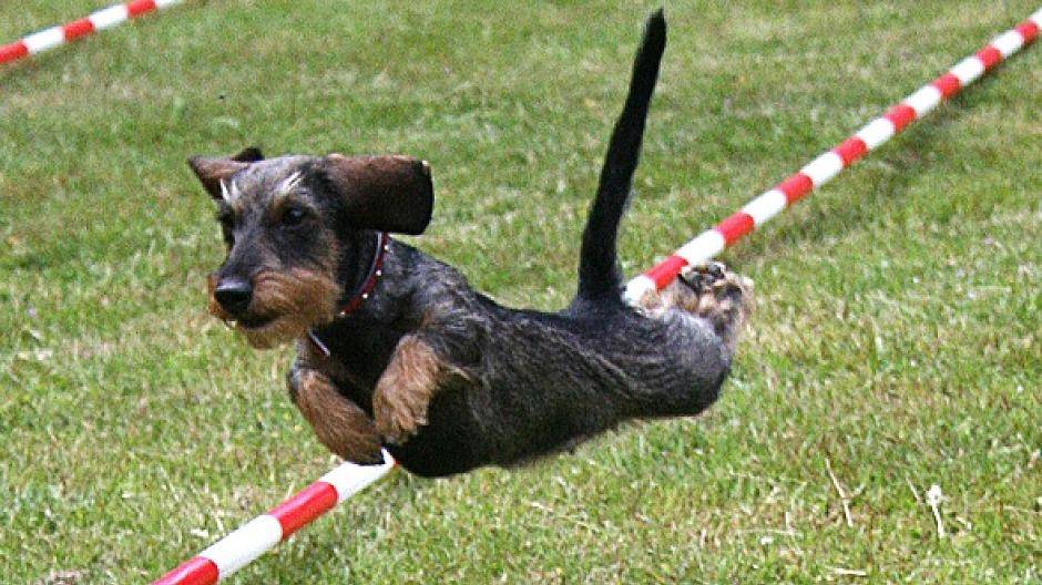 Das muss Liebe sein....